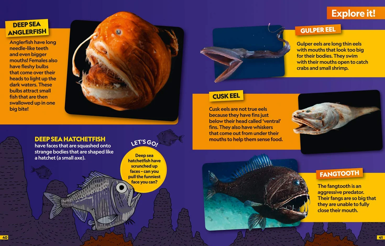 Oceans Find it! Explore it!: More than 250 things to find, facts and photos!