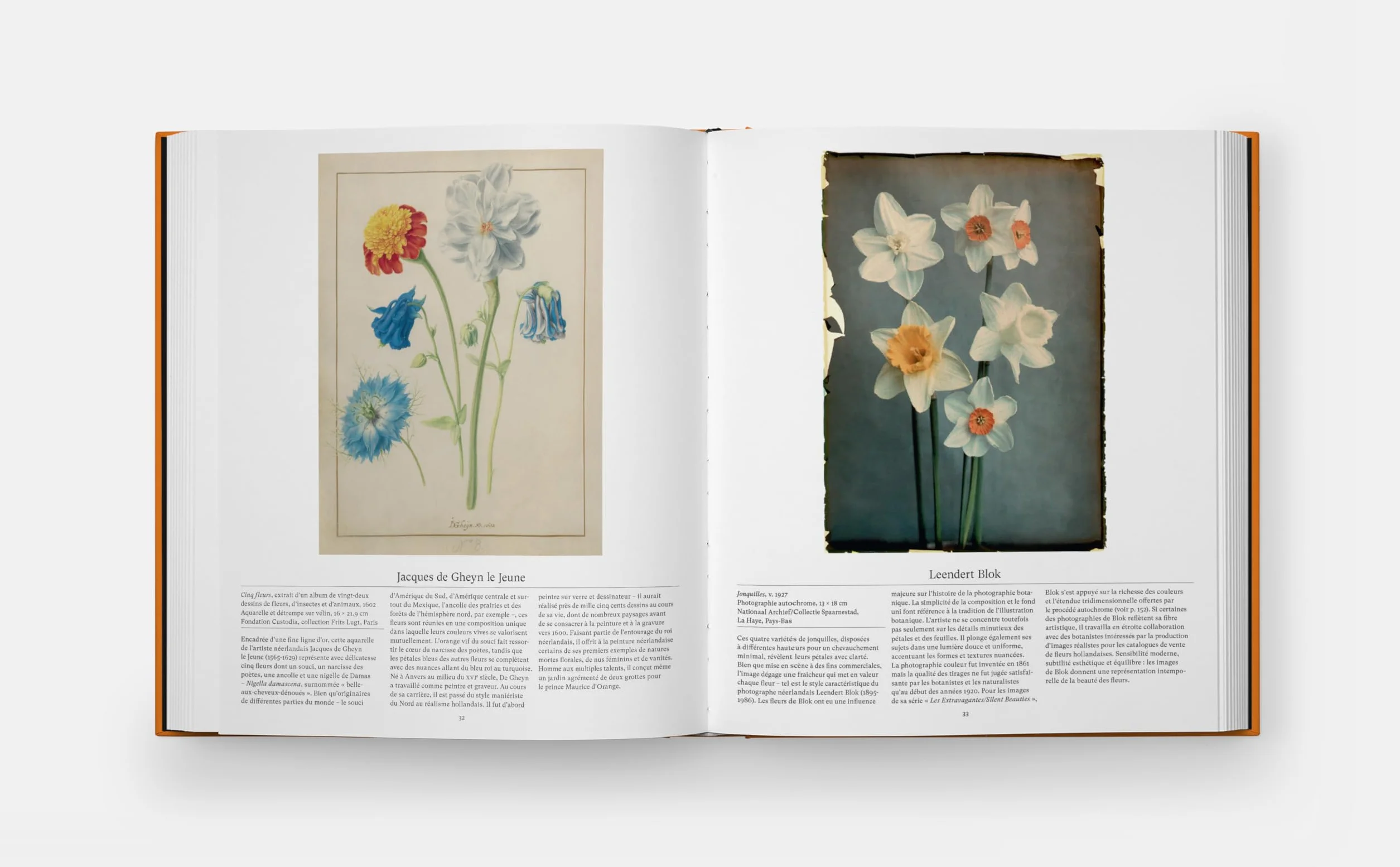 Fleurs: Explorer le monde floral