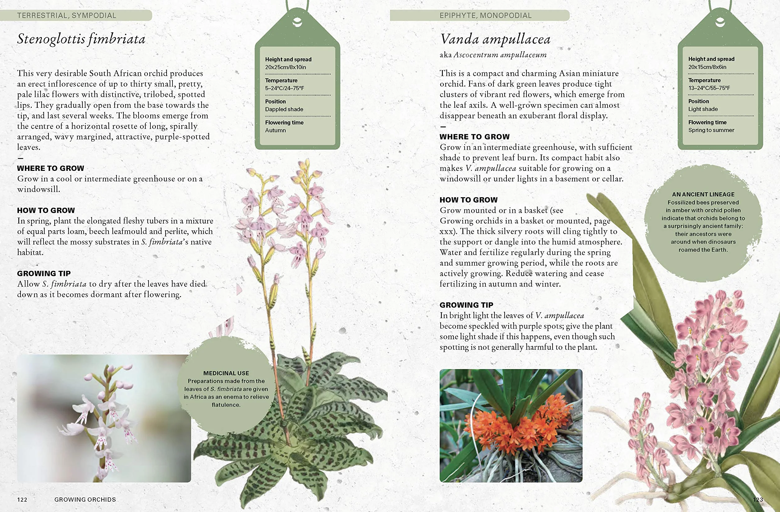The Kew Gardener's Guide to Growing Orchids: The Art and Science to Grow Your Own Orchids (Volume 6)