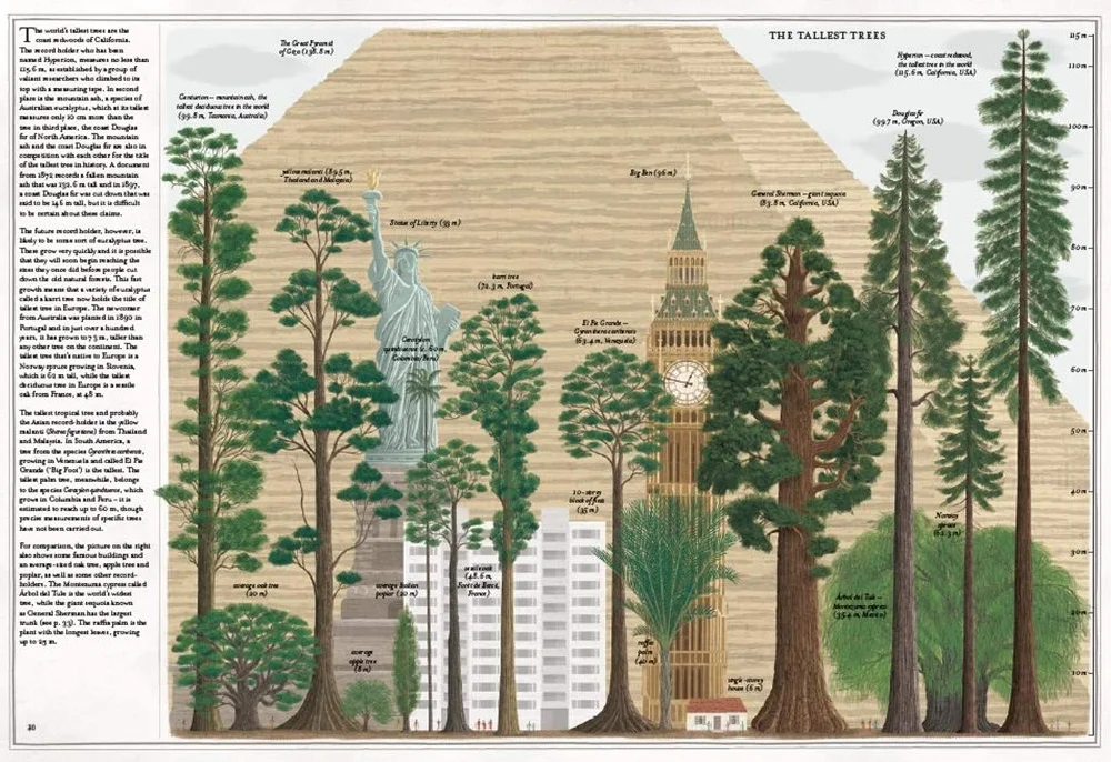 The Book of Trees /anglais