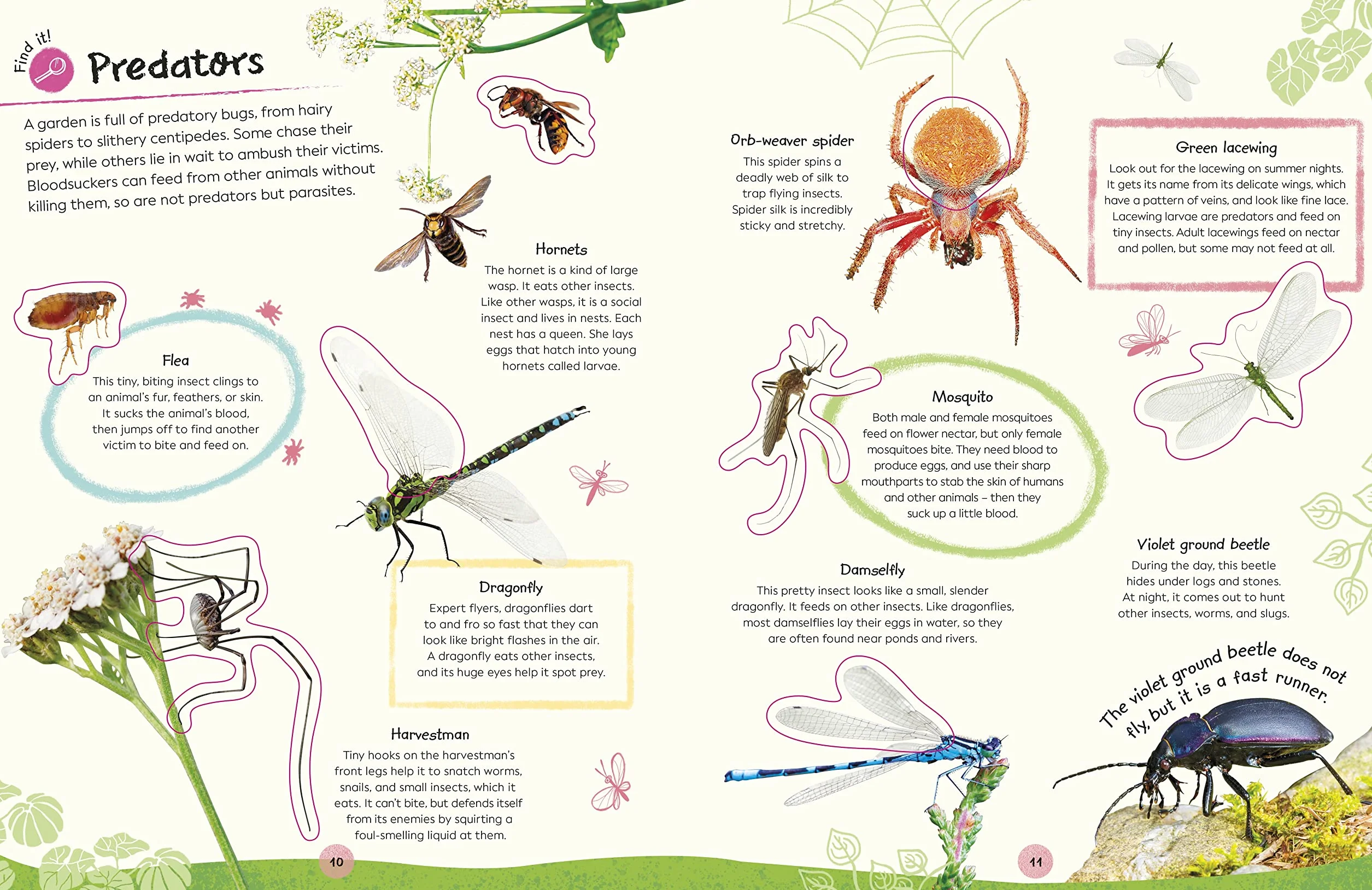 RHS Ultimate Sticker Book Garden Bugs: New Edition with More than 250 Stickers