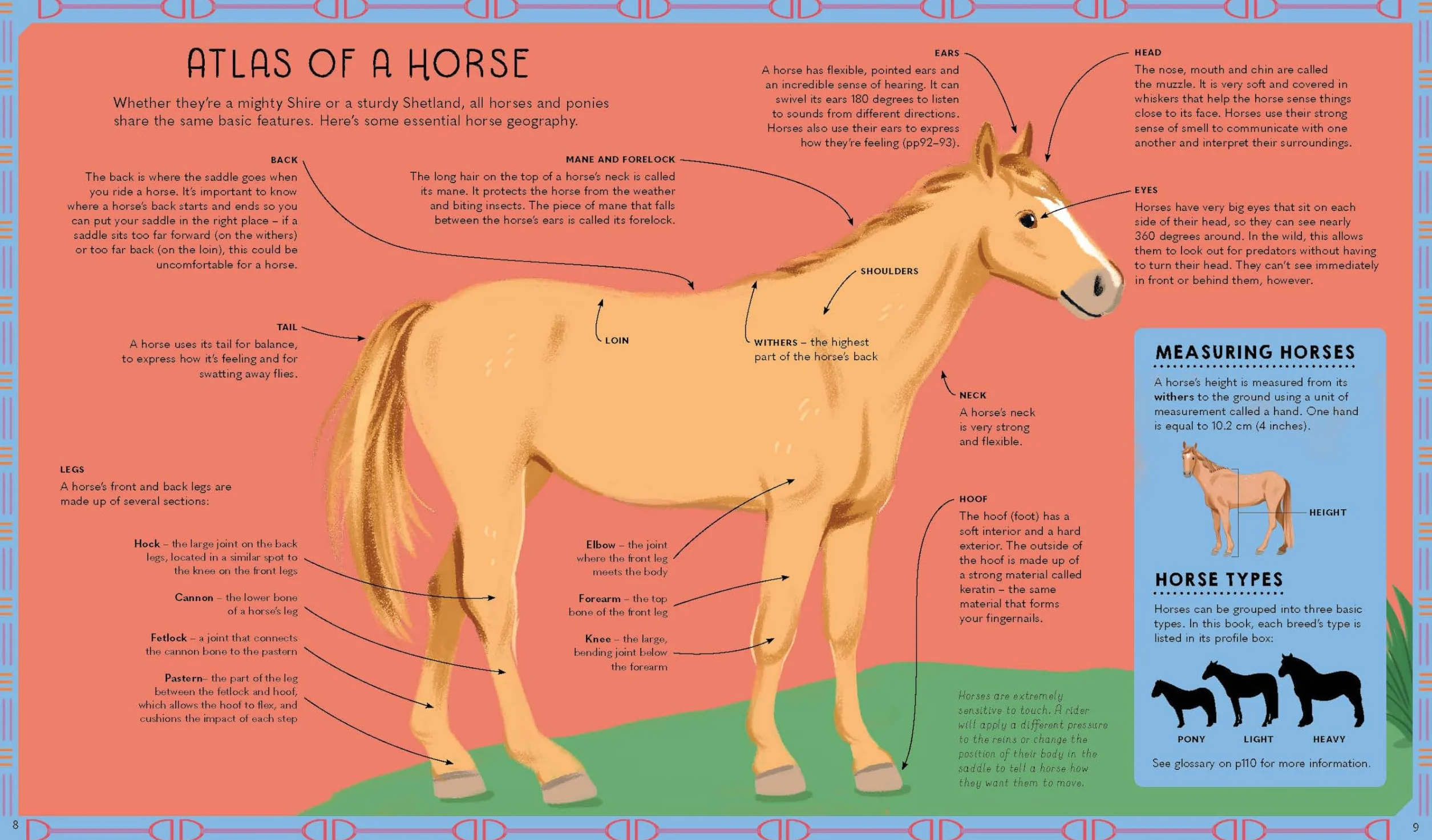 Atlas of Horses and Ponies 1ed -anglais-: 100 Amazing Breeds From Around the World | Fun Features & Illustrations | Learn About their Super Senses | Fascinating Facts