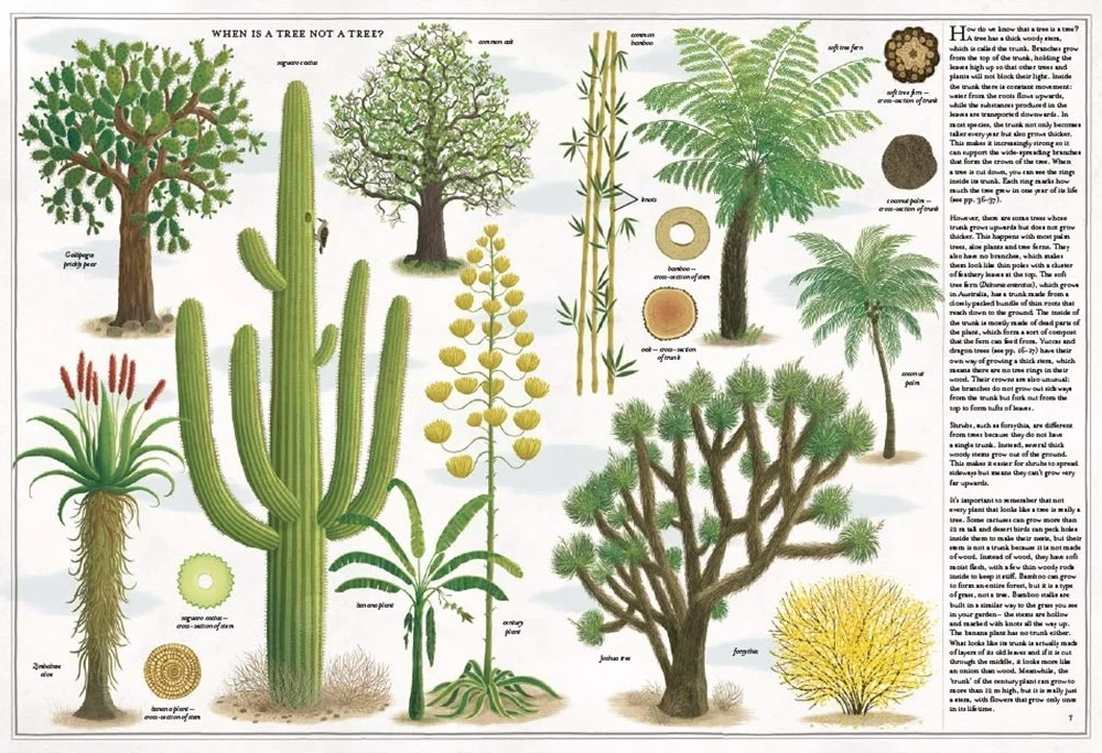 The Book of Trees /anglais