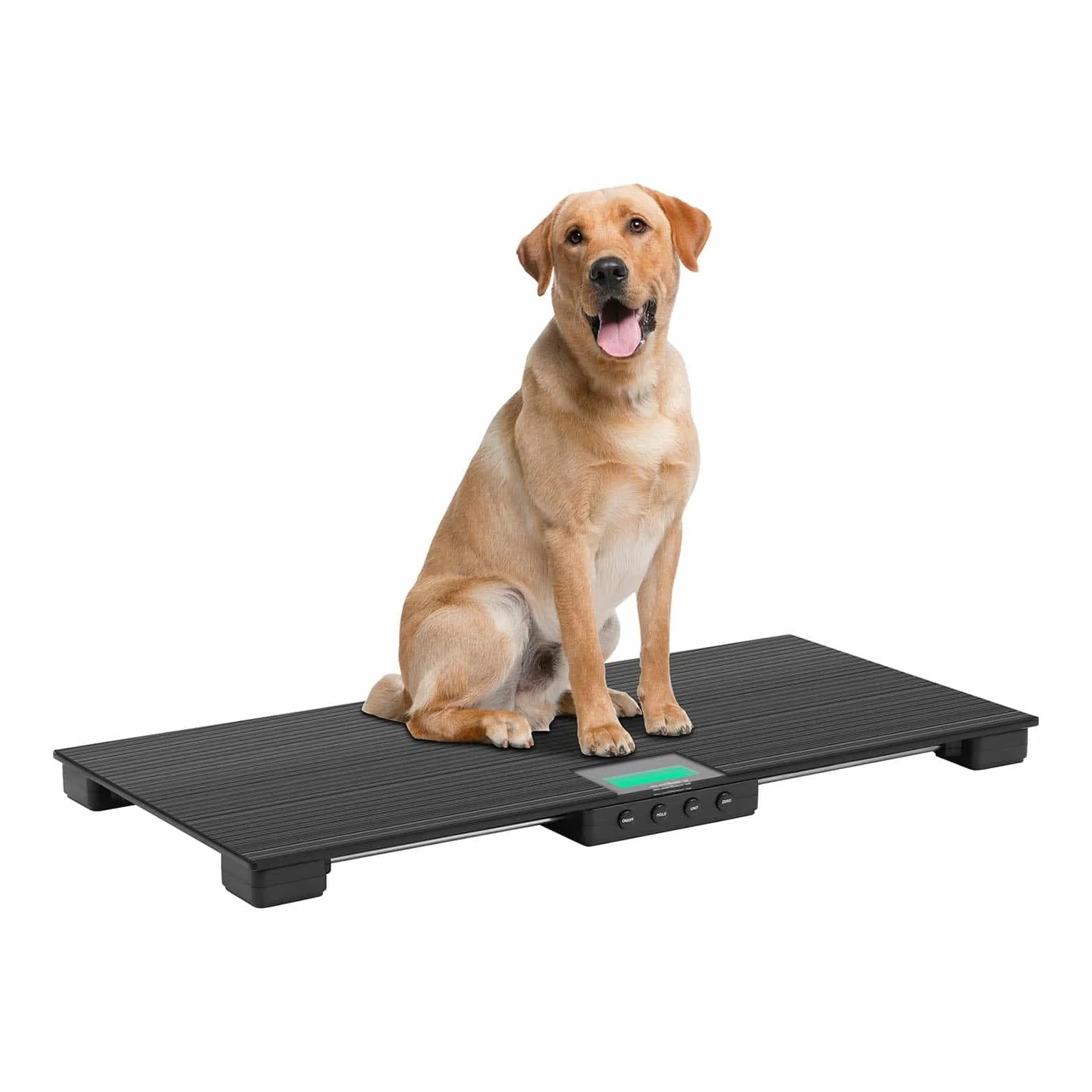 Steinberg Systems SBS-PS-1500 Waga Weterynaryjna, 150 kg/50 g, Mata Antypoślizgowa LCD, Podłogowa Zwierzęca