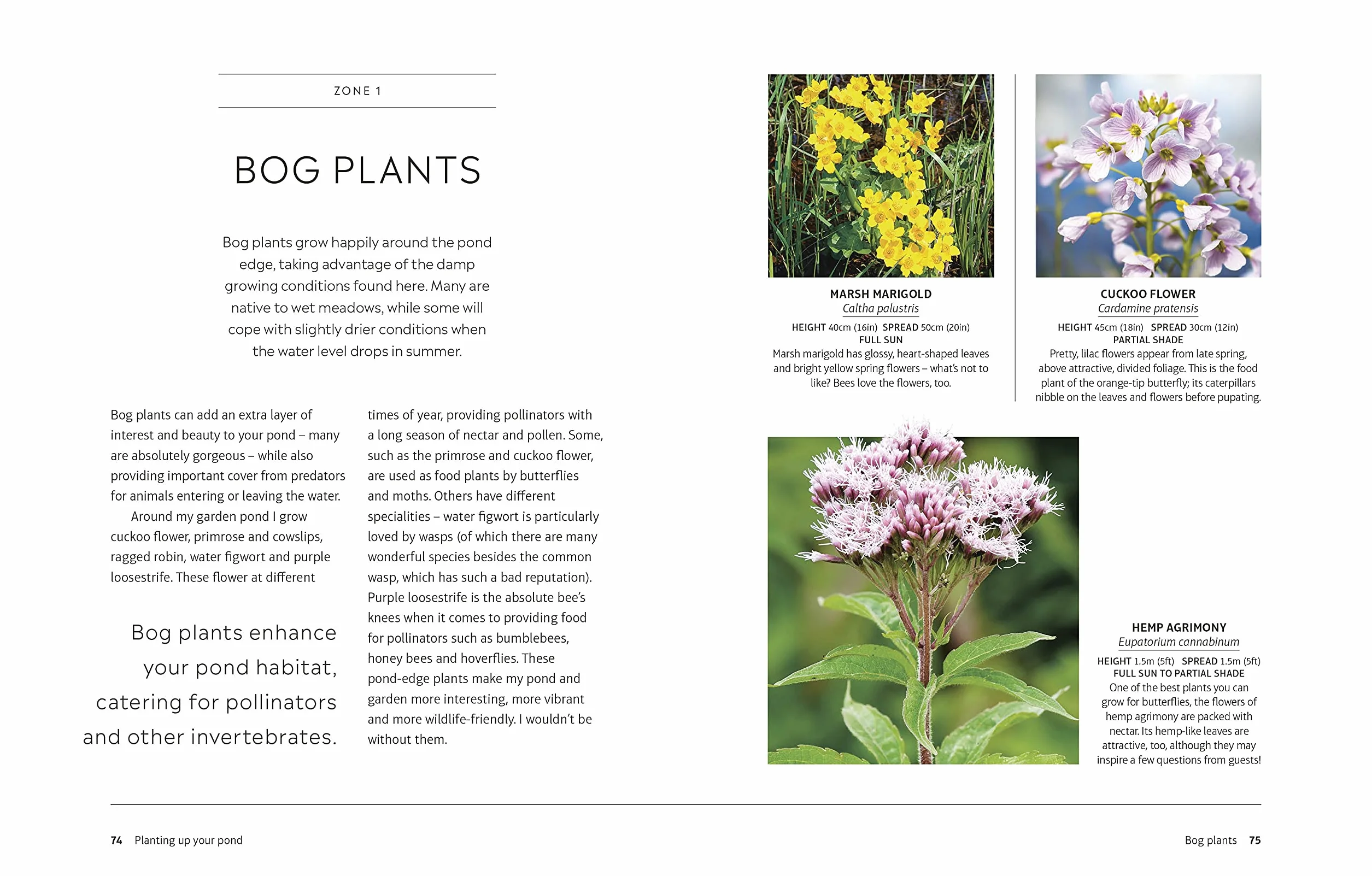 RHS How to Create a Wildlife Pond: Plan, Dig, and Enjoy a Natural Pond in Your Own Back Garden