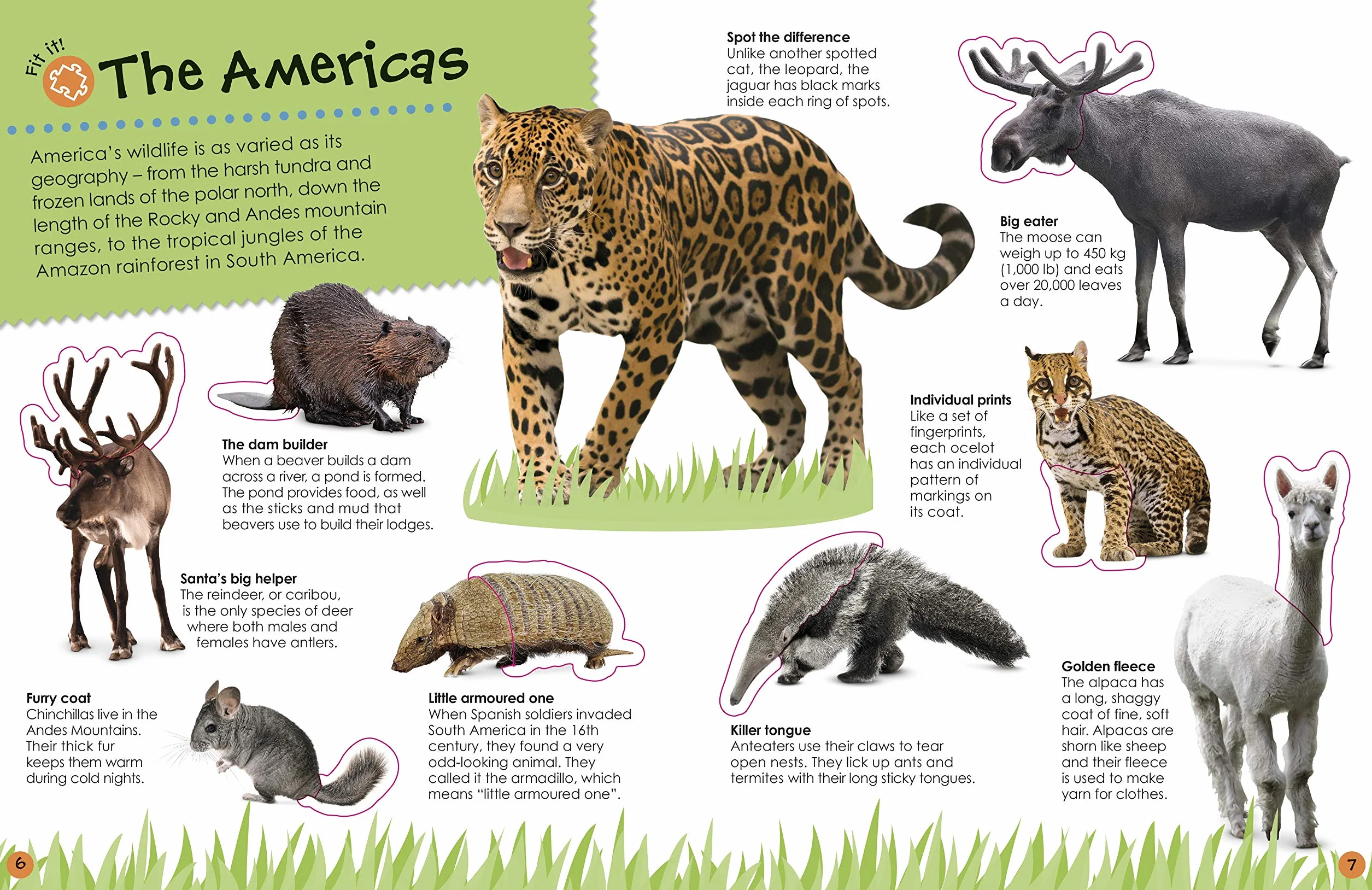Ultimate Sticker Book Animals: More than 250 Reusable Stickers