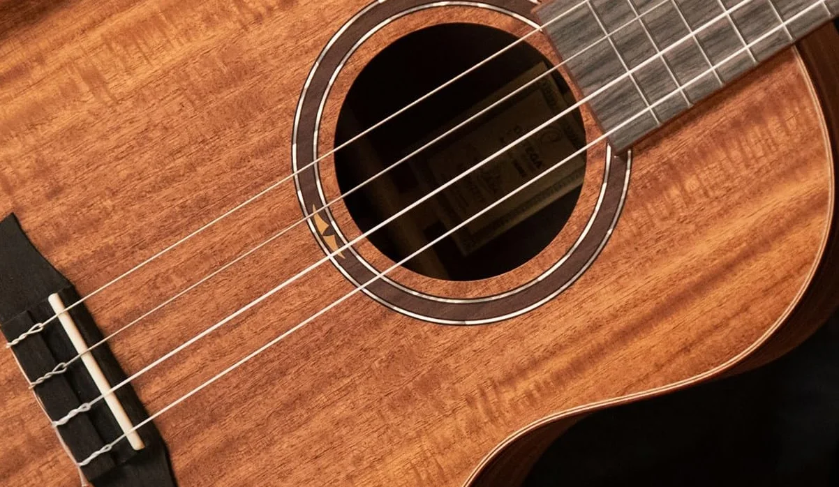 Ortega Guitars Struny do ukulele barytonowego – seria strun wykonanych na zamówienie – nylon/posrebrzane (UWNY-4-BA)