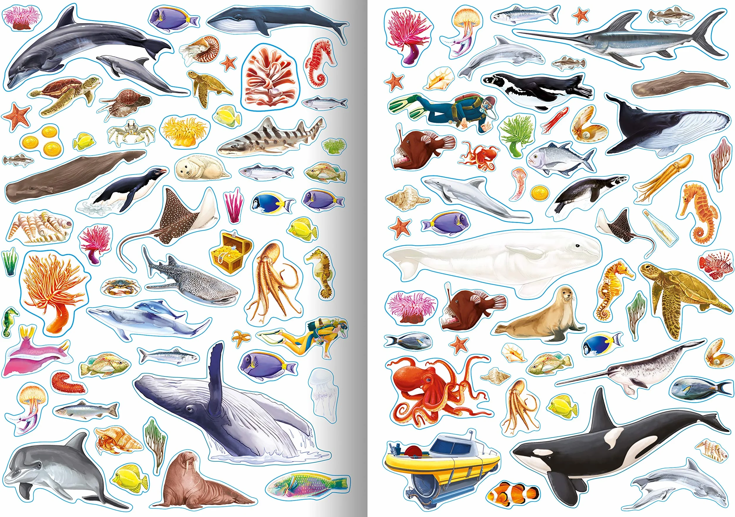 Tiere unserer Erde.: Meine Stickerwelt. Meerestiere: 2