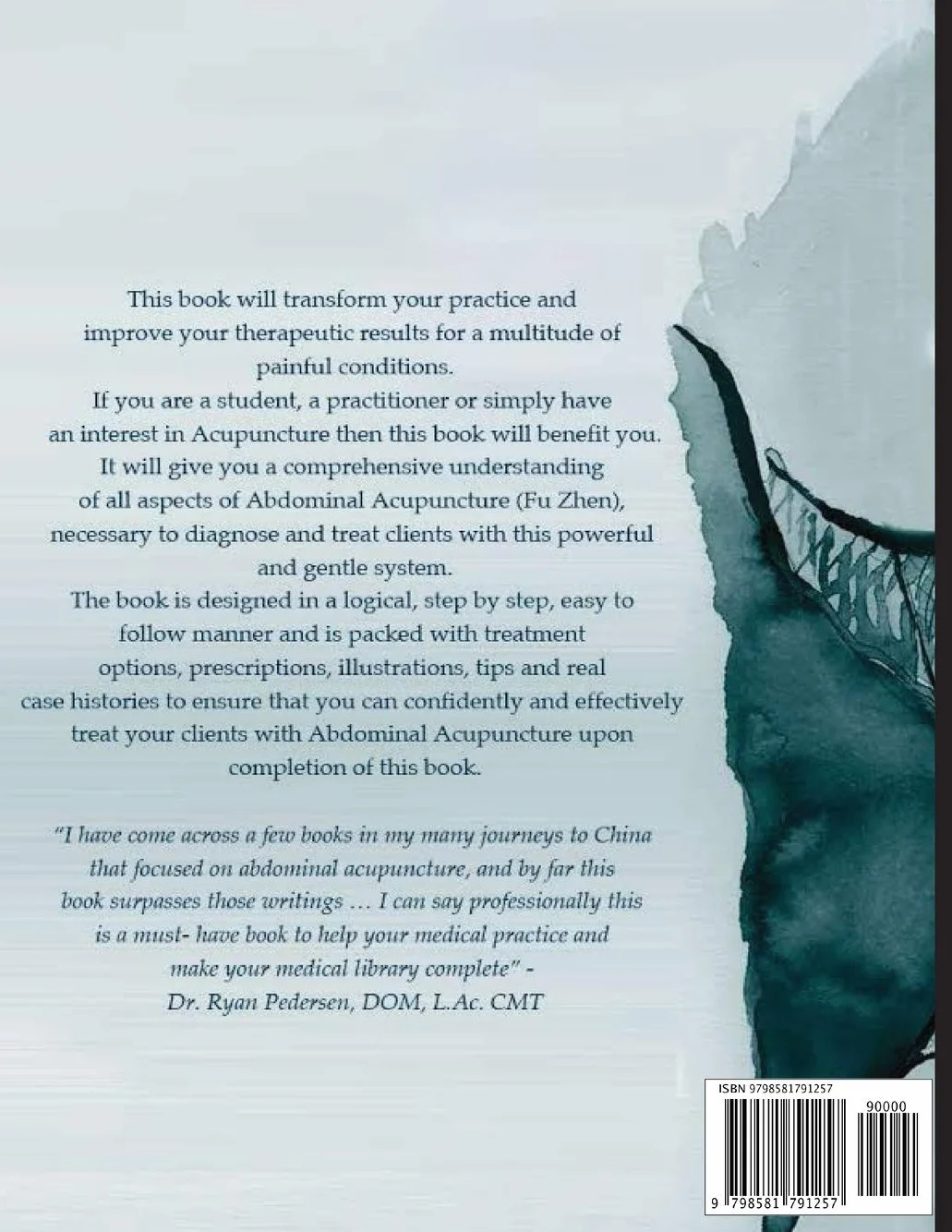 Mastering the Art of Abdominal Acupuncture: A concise guide to treating numerous painful conditions
