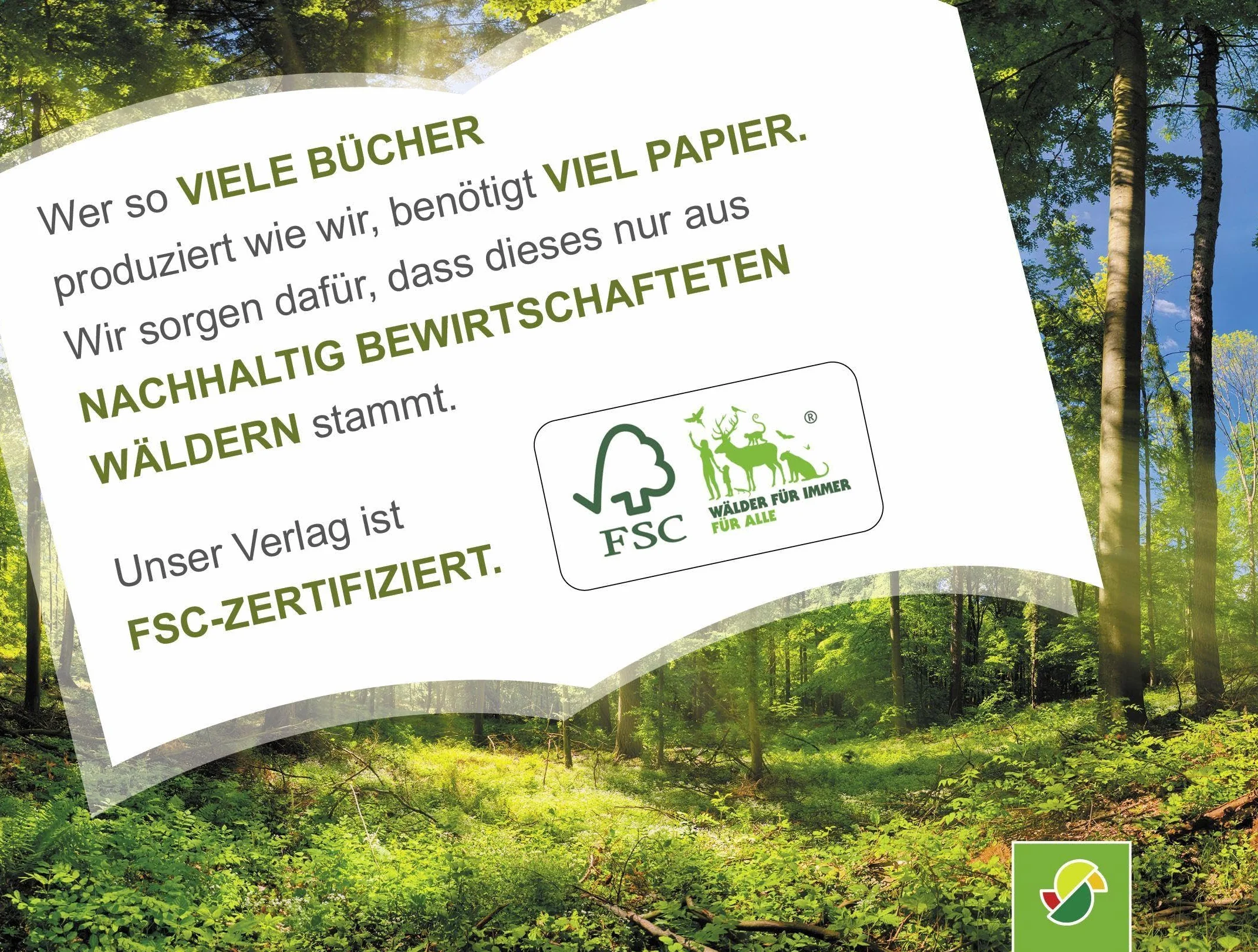 Die große Anne Suess Wimmelbox: 3 Wimmelbücher im Schuber