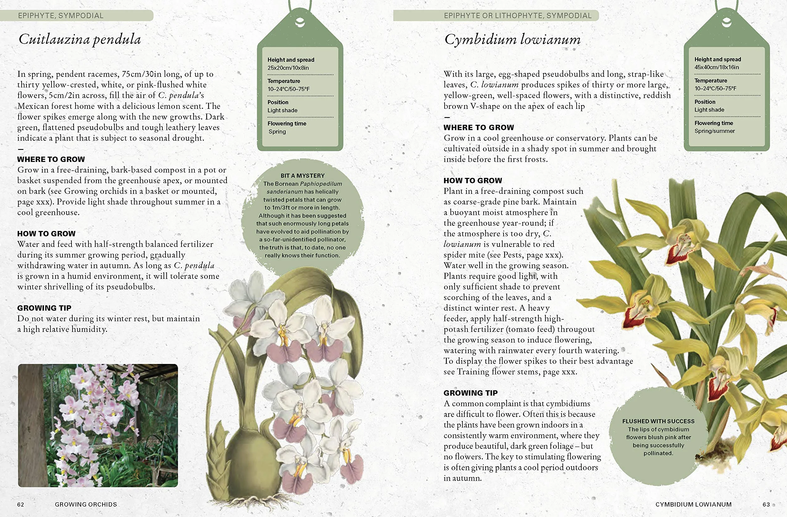 The Kew Gardener's Guide to Growing Orchids: The Art and Science to Grow Your Own Orchids (Volume 6)