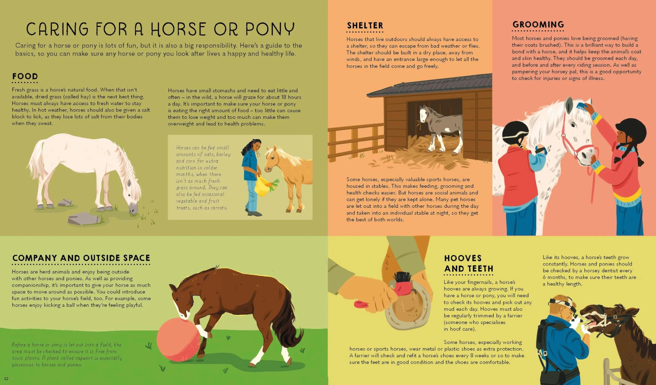 Atlas of Horses and Ponies 1ed -anglais-: 100 Amazing Breeds From Around the World | Fun Features & Illustrations | Learn About their Super Senses | Fascinating Facts