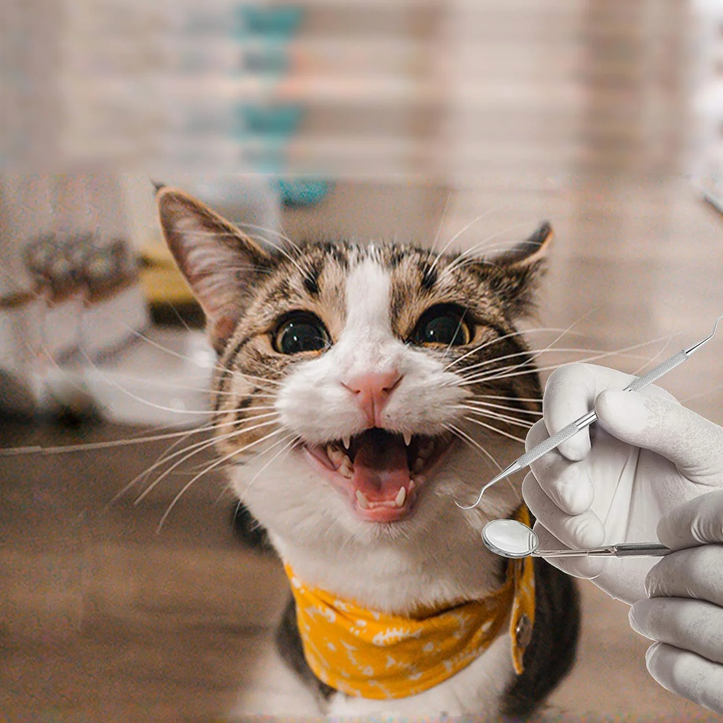 Zestaw do czyszczenia zębów HOKIN Plaque Remover Dental Care Kit Zestaw do pielęgnacji zębów Narzędzia stomatologiczne ze stali nierdzewnej dla mężczyzn, kobiet, dzieci i zwierząt domowych (1)