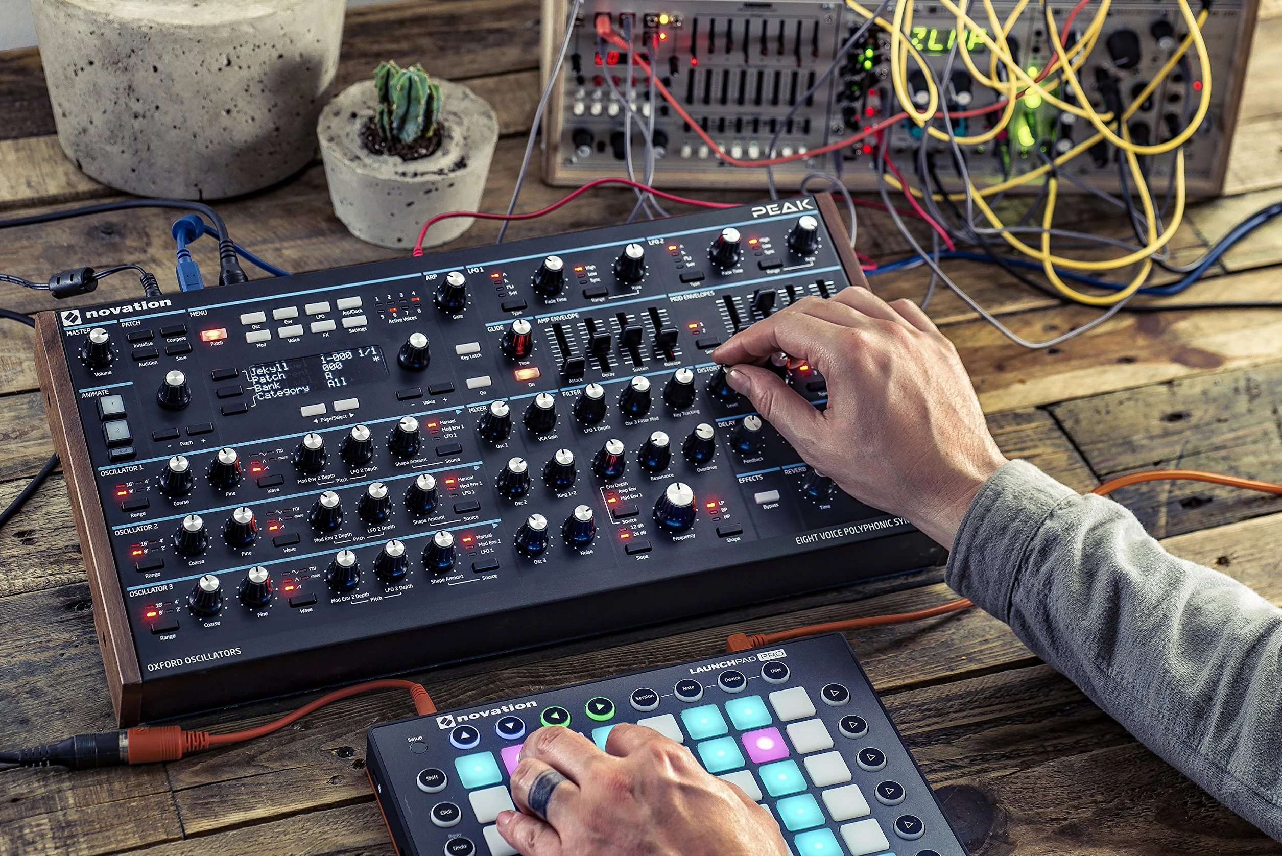 Novation Peak 8-głosowy pulpit polifoniczny syntezator z 2 LFO na głos, 16-gniazdowa matryca modulacyjna, 3 analogowe punkty zniekształceń i efekty cyfrowe