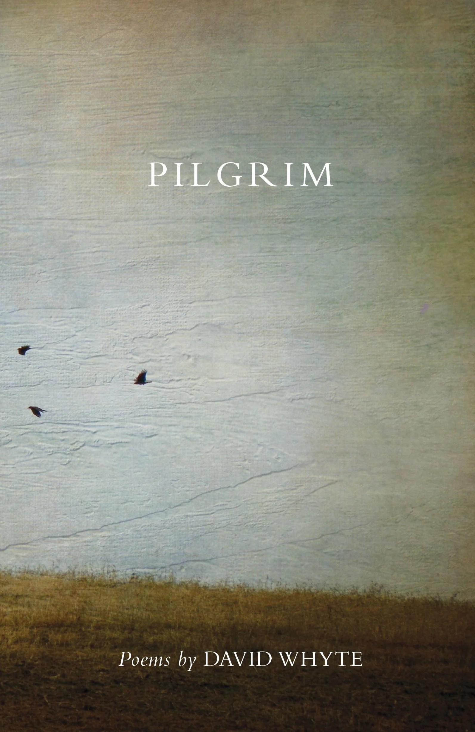 Pilgrim (Revised) (Revised)