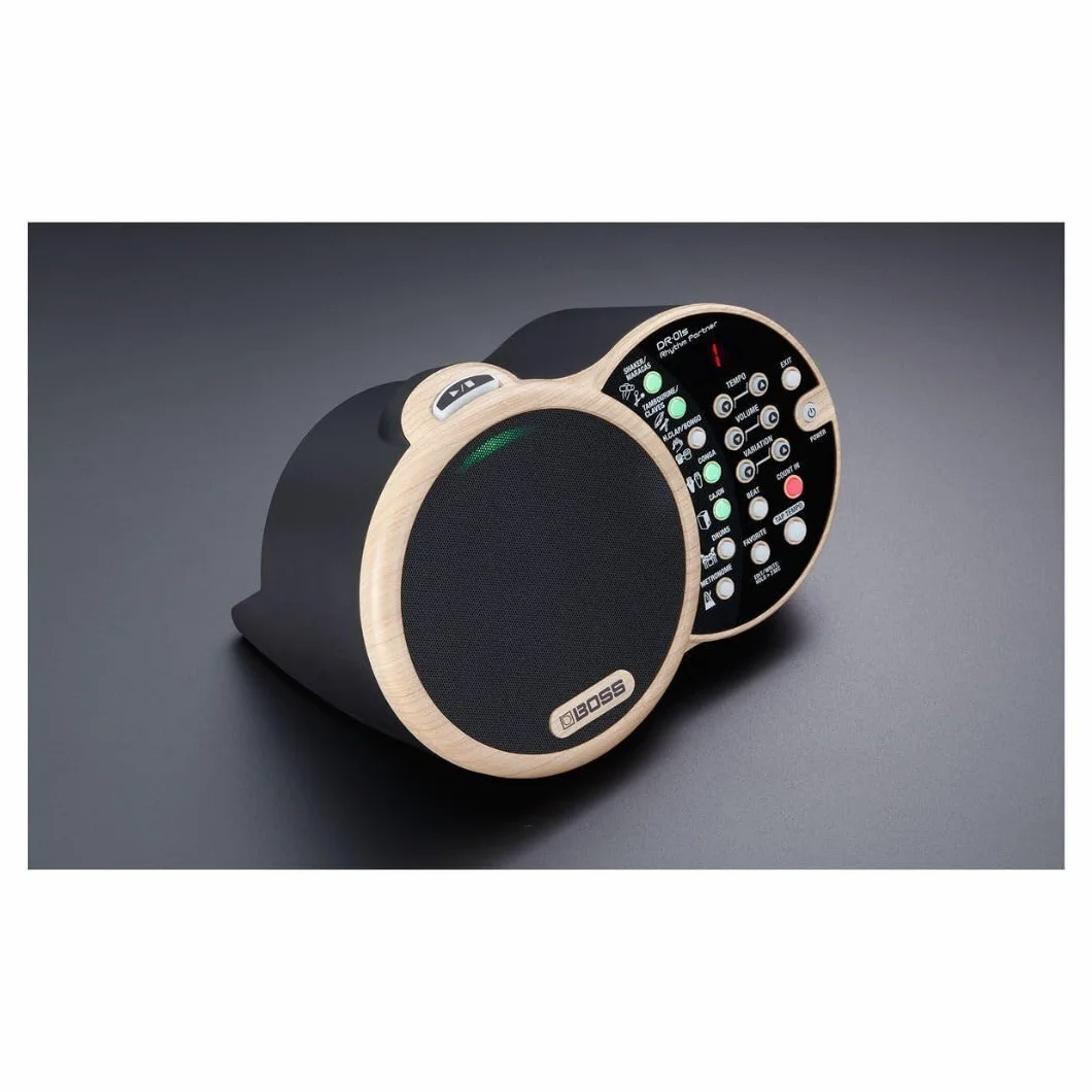 BOSS DR-01S Rhythm Partner