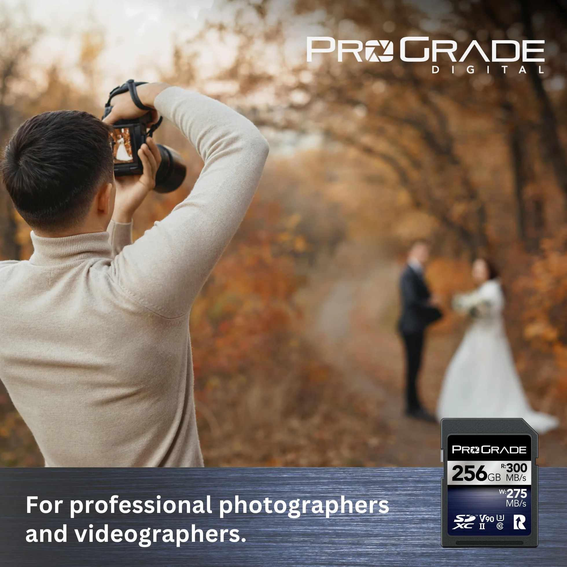 Karta pamięci ProGrade Digital SDXC UHS-II V90 Iridium (256GB)