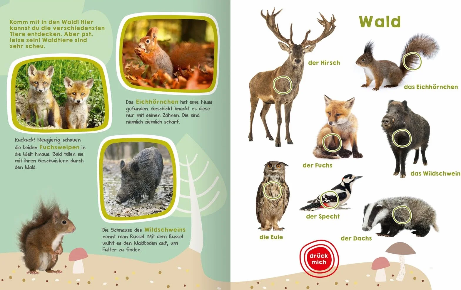 Mein großes Buch der Tiergeräusche: Mit 50 Sounds