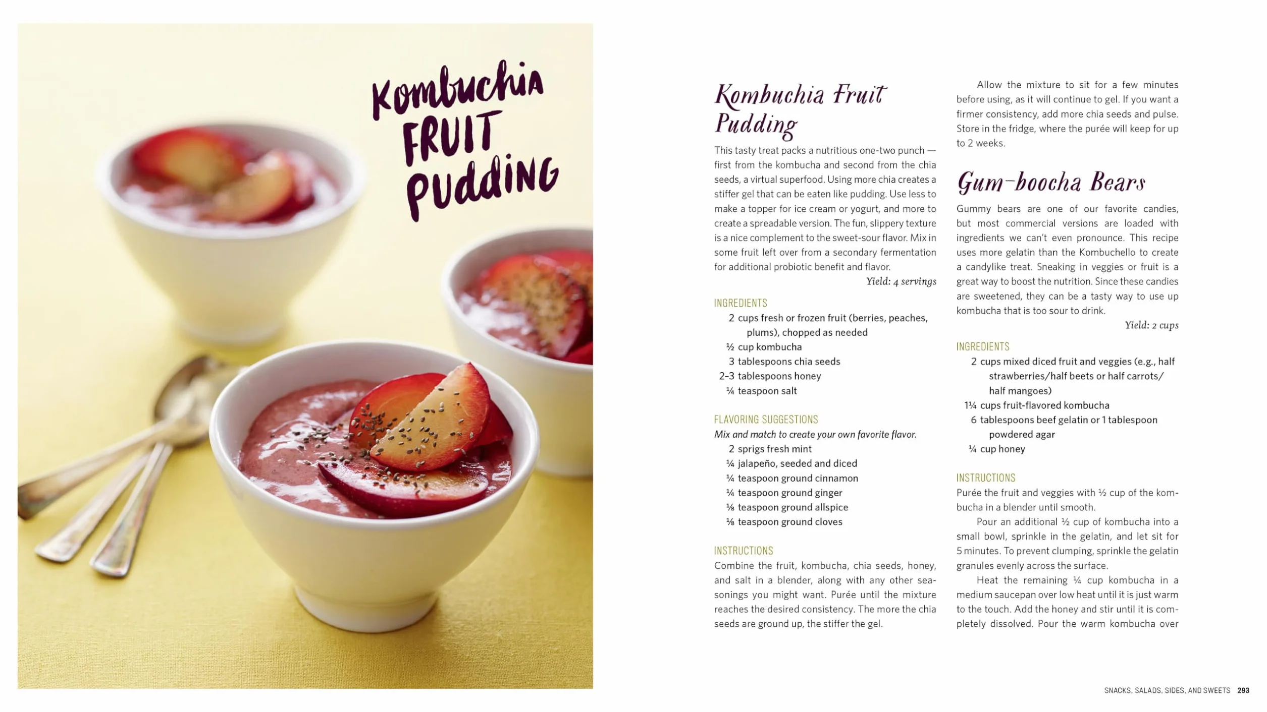 The Big Book of Kombucha: Brewing, Flavoring, and Enjoying the Health Benefits of Fermented Tea