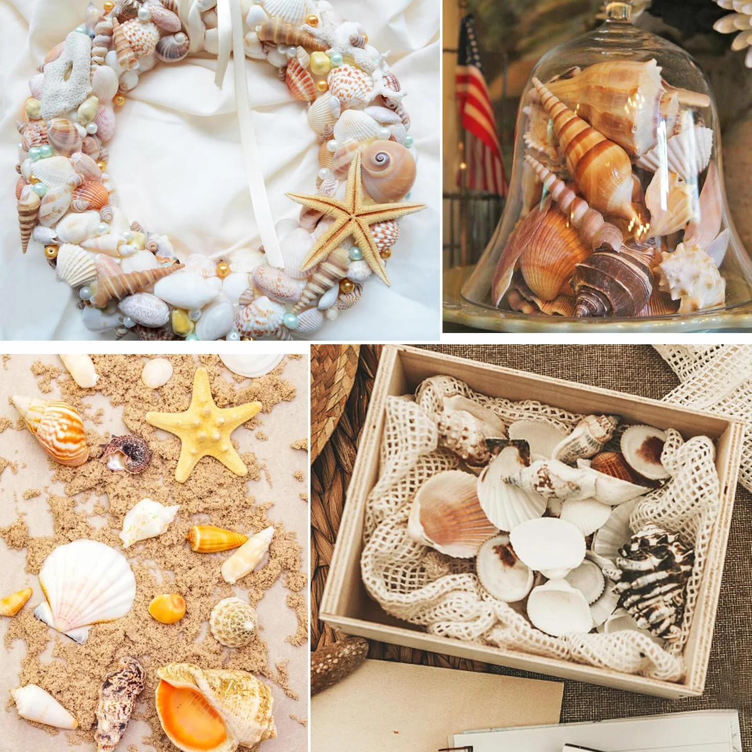 Jangostor Muszle morskie, mieszane muszle oceaniczne, 3 cm-9 cm, różne rozmiary, muszle plażowe i naturalne rozgwiazdy, do wazonu, wypełniacz, na plażę, imprezę tematyczną, do domu, na wesele, do