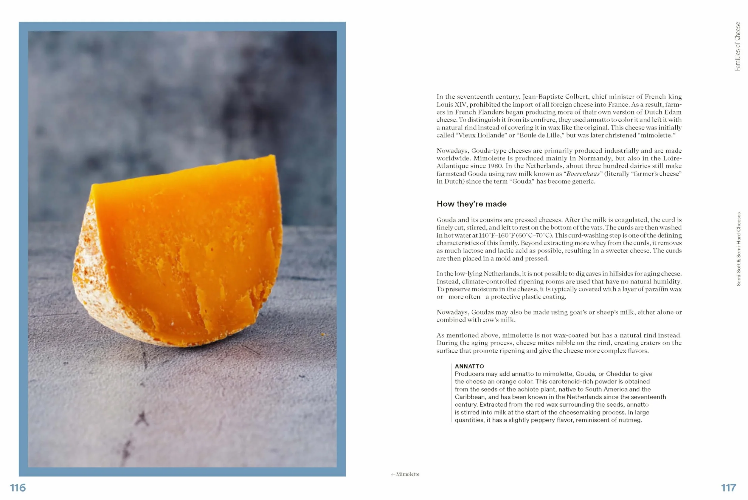 The Complete Book of Cheese: History, Techniques, Recipes, Tips