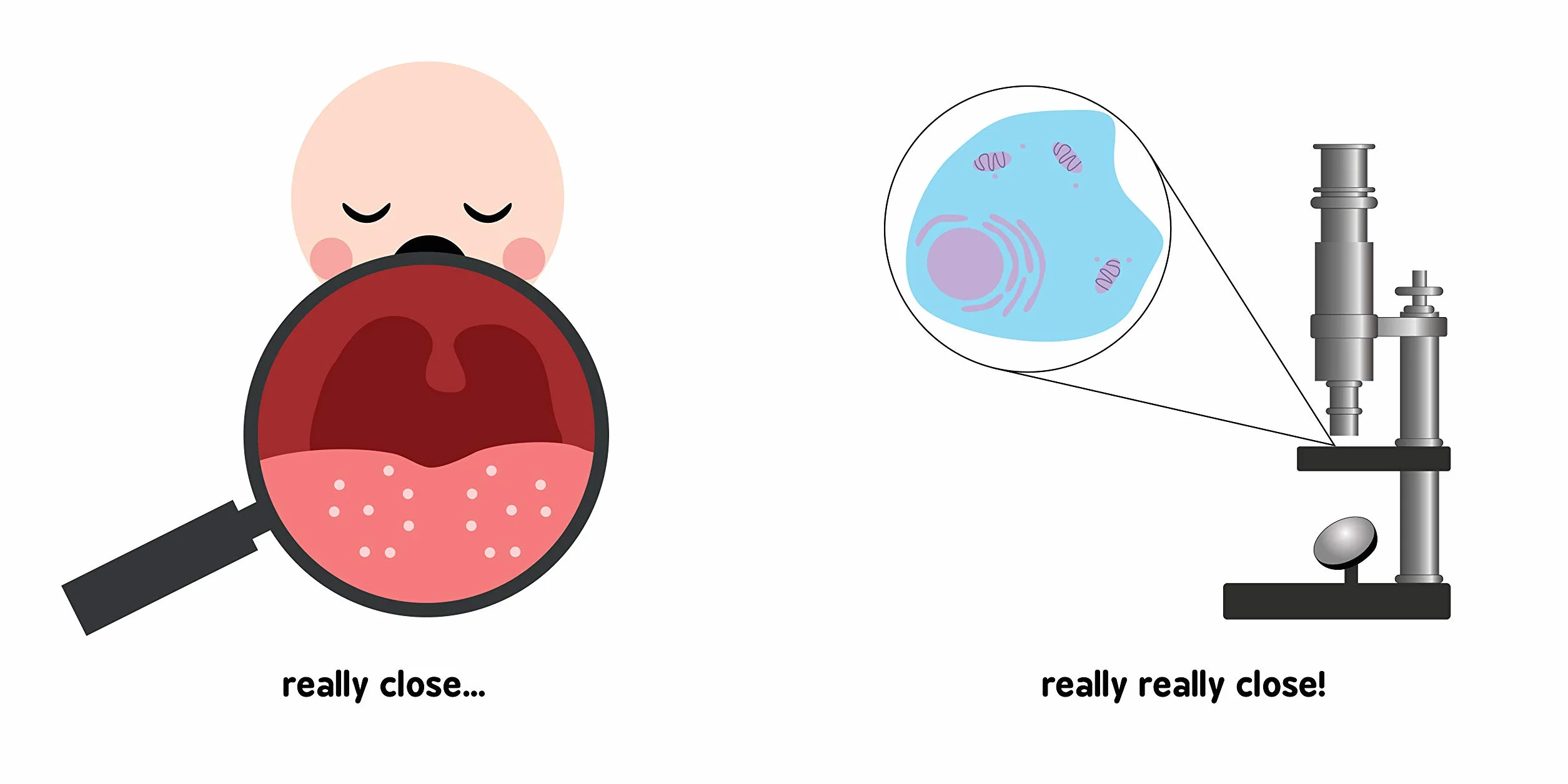 Germ Theory for Babies: 1 (Baby University)