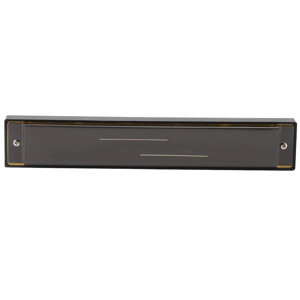 C-Key 24-otworowa harmonijka Profesjonalny instrument dęty Mouthorgan (czarny mat)