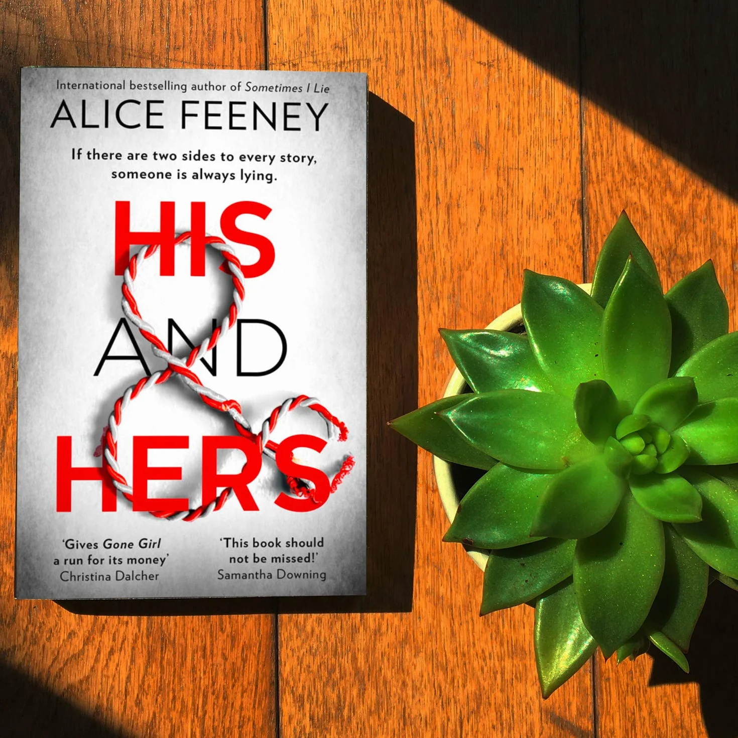 His and Hers: The must-read addictive psychological suspense thriller from the bestselling author of Beautiful Ugly, now a brand-new Number One Netflix global phenomenon in 2026