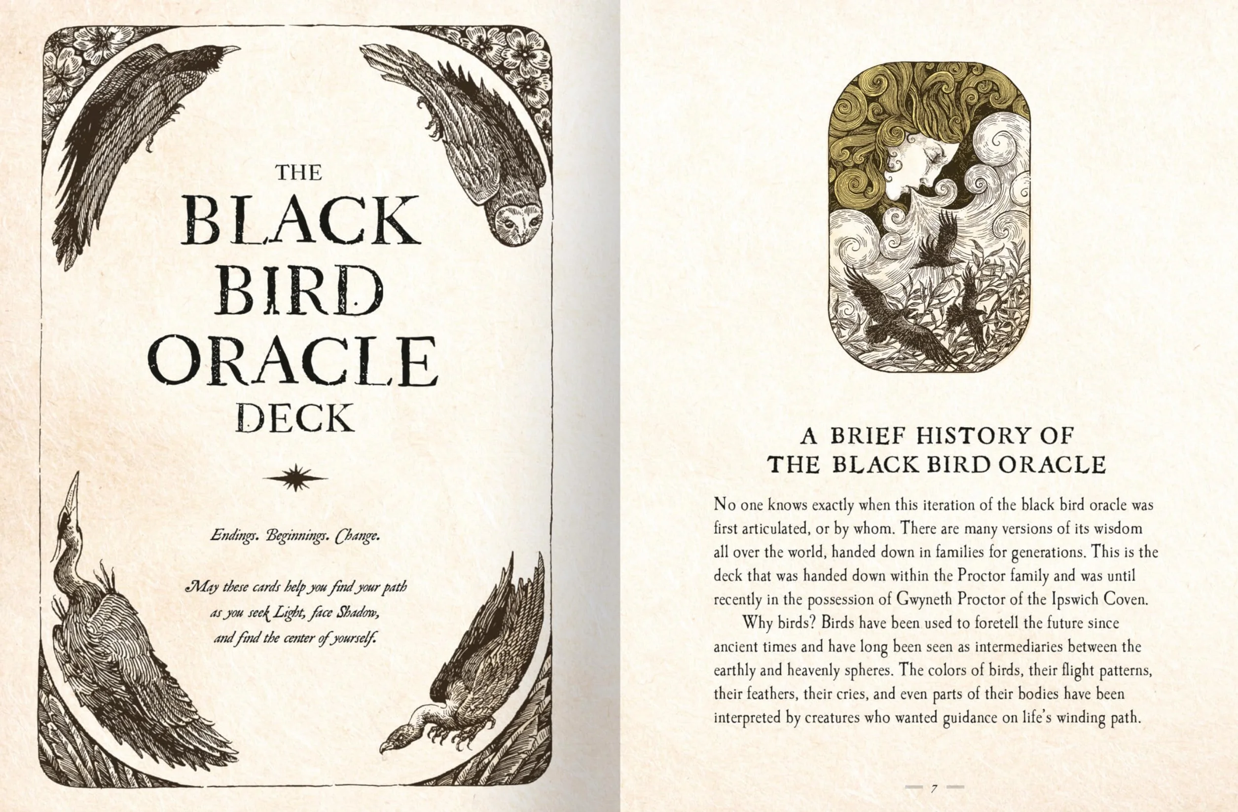 The Black Bird Oracle Deck: A 52-Card Deck and Guidebook