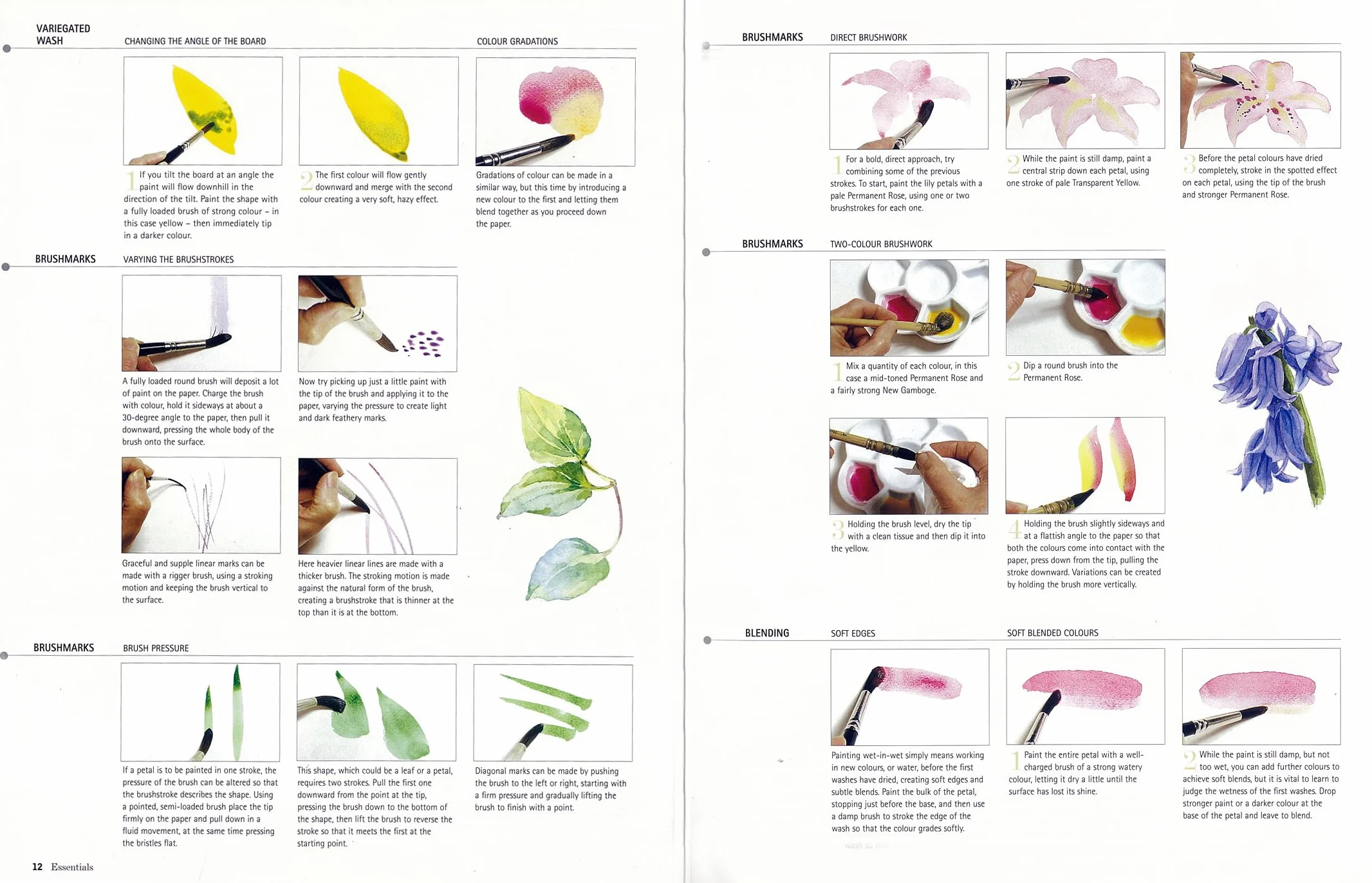 Kew: The Watercolour Flower Painter's A to Z: An Illustrated Directory of Techniques for Painting 50 Popular Flowers