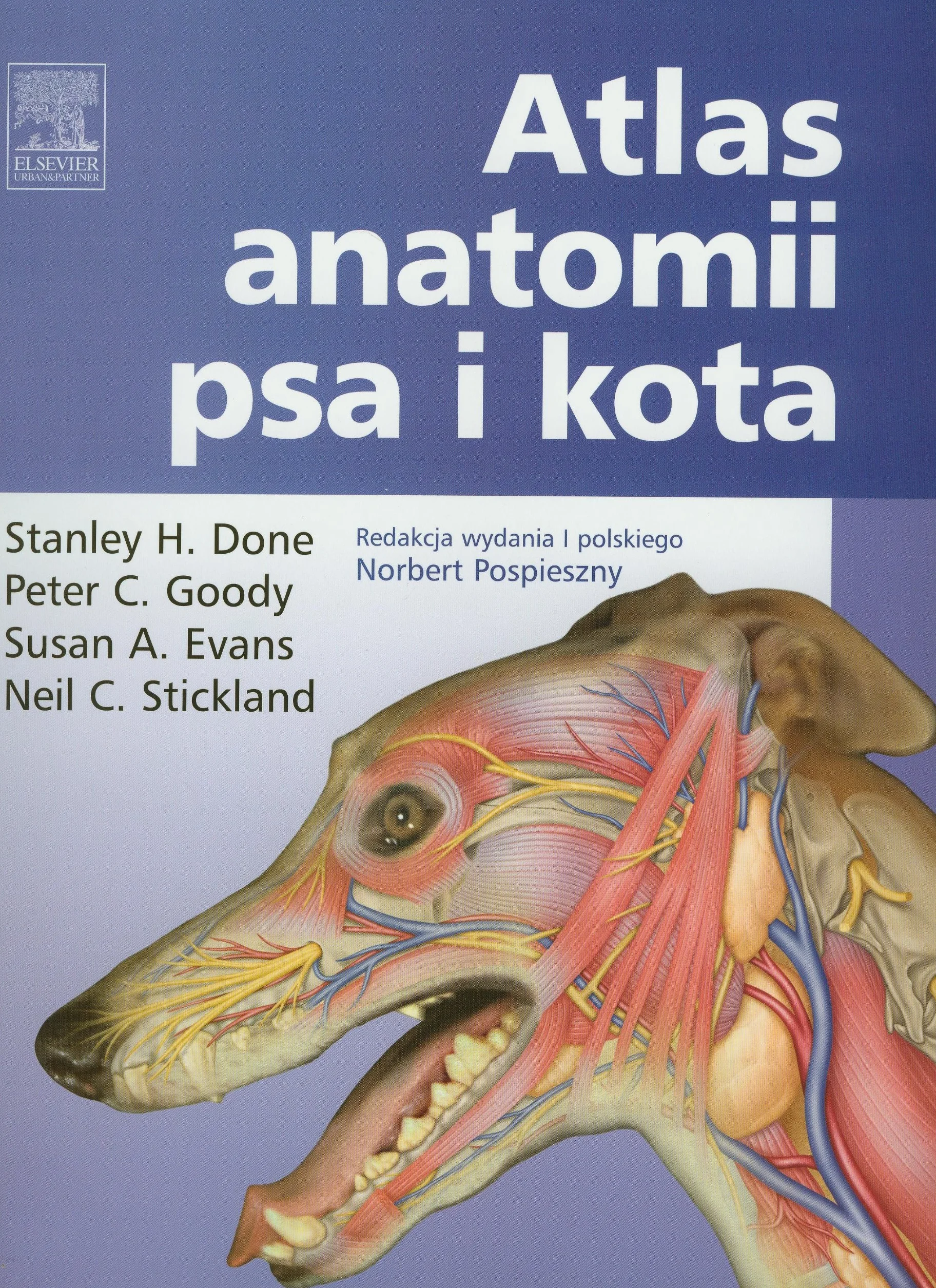 Atlas anatomii psa i kota