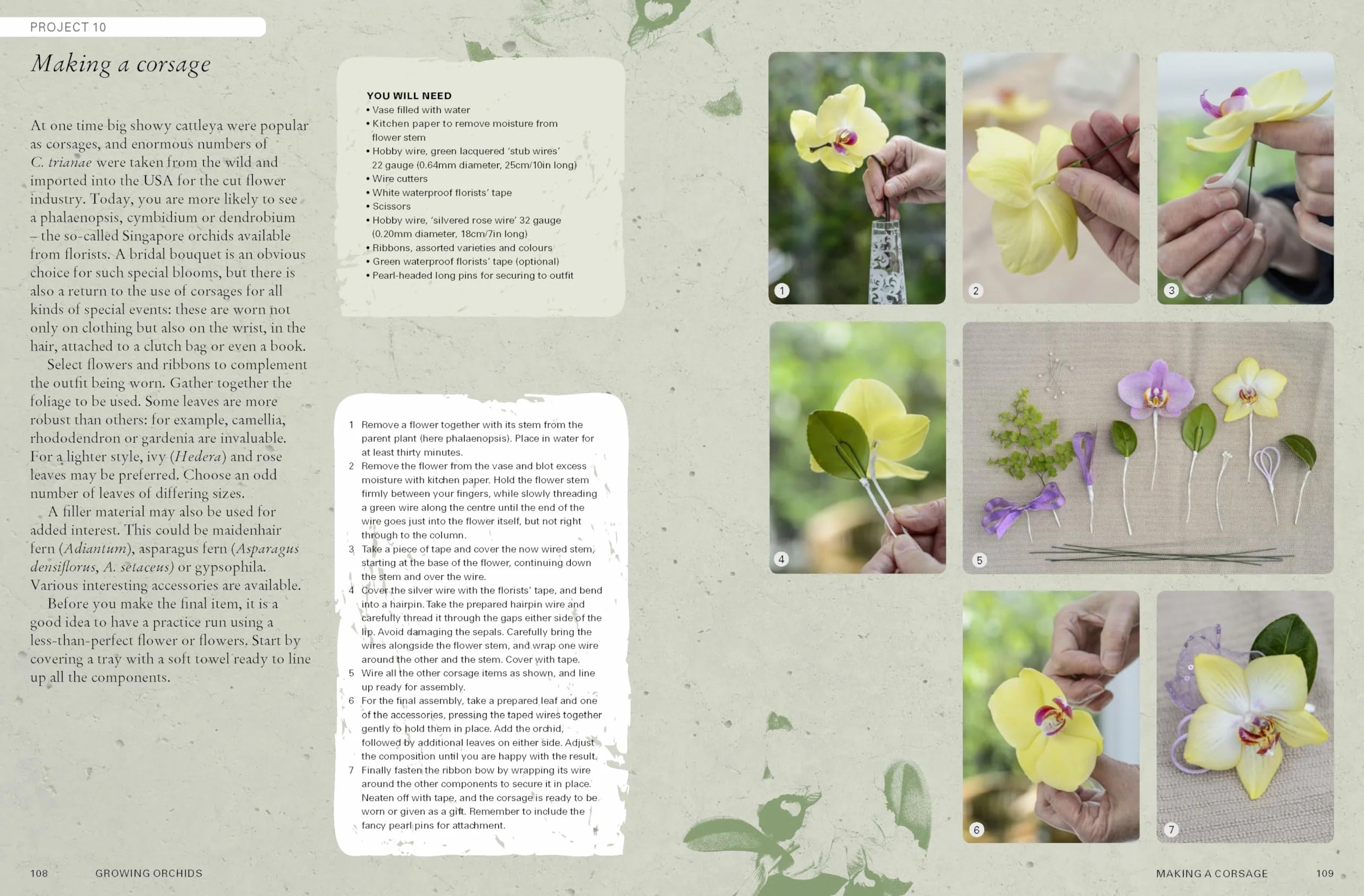 The Kew Gardener's Guide to Growing Orchids: The Art and Science to Grow Your Own Orchids (Volume 6)