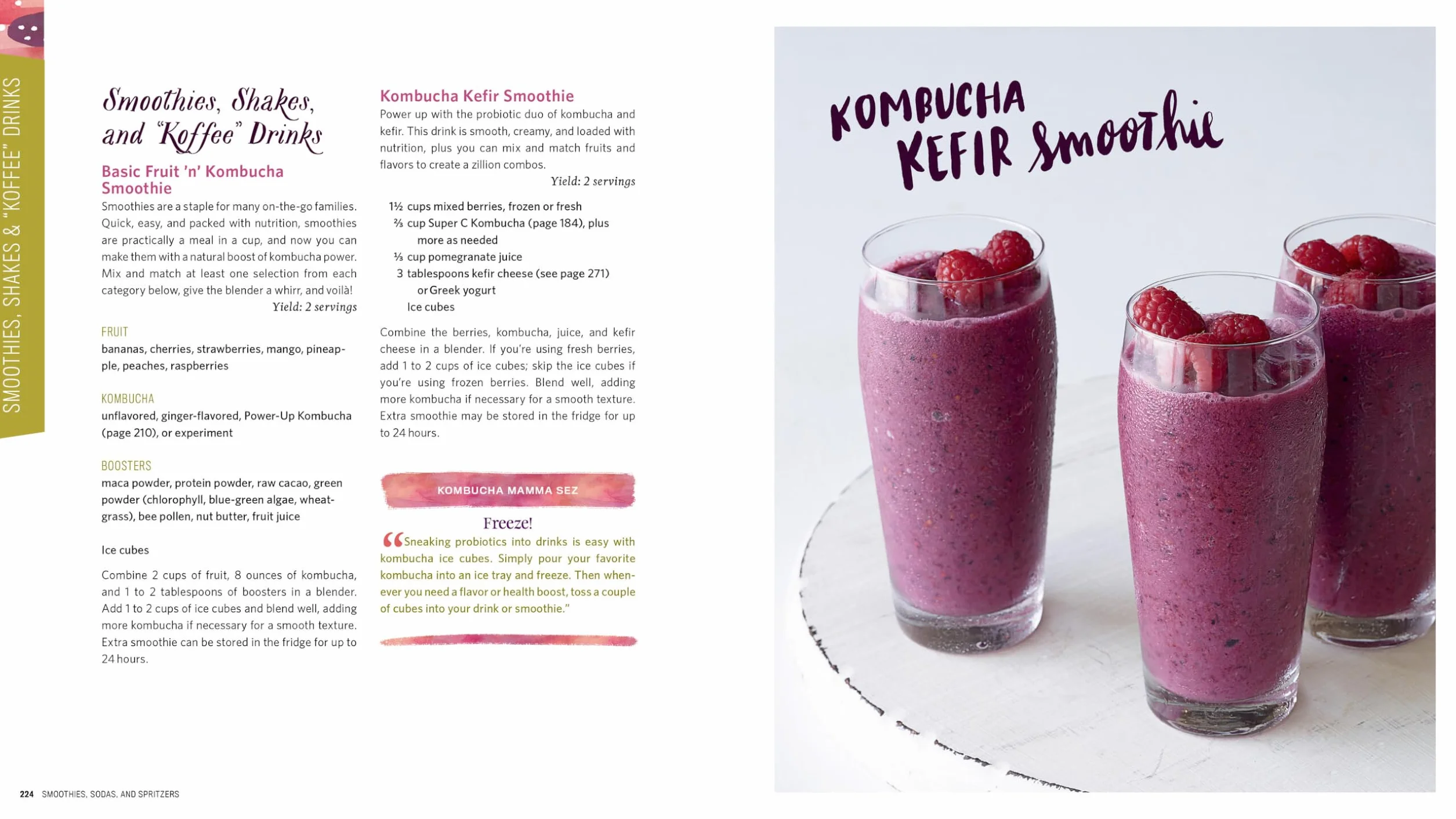 The Big Book of Kombucha: Brewing, Flavoring, and Enjoying the Health Benefits of Fermented Tea