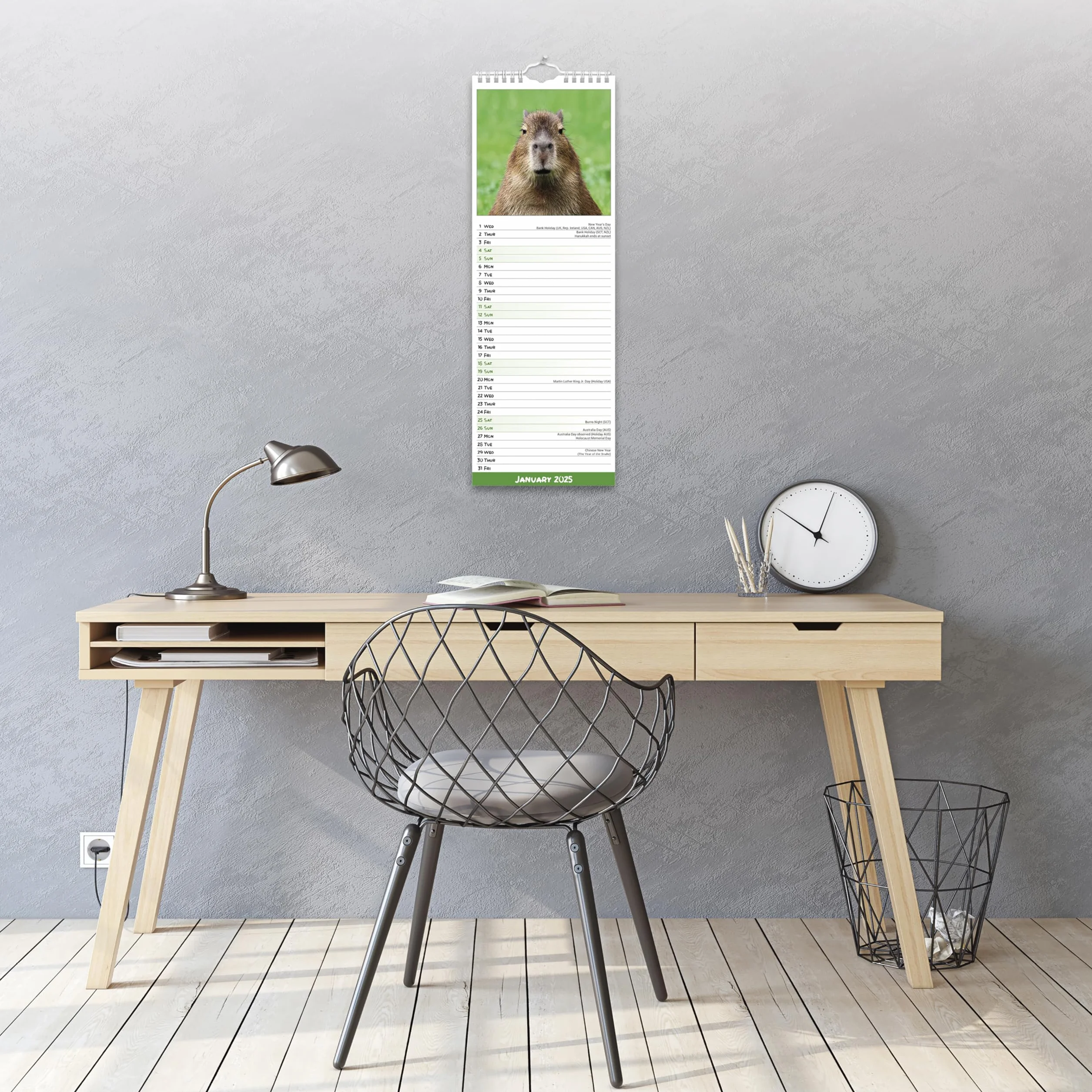 Capybara – Wasserschwein 2025: Original Avonside-Kalender – Slimline [Mehrsprachig] [Kalender]