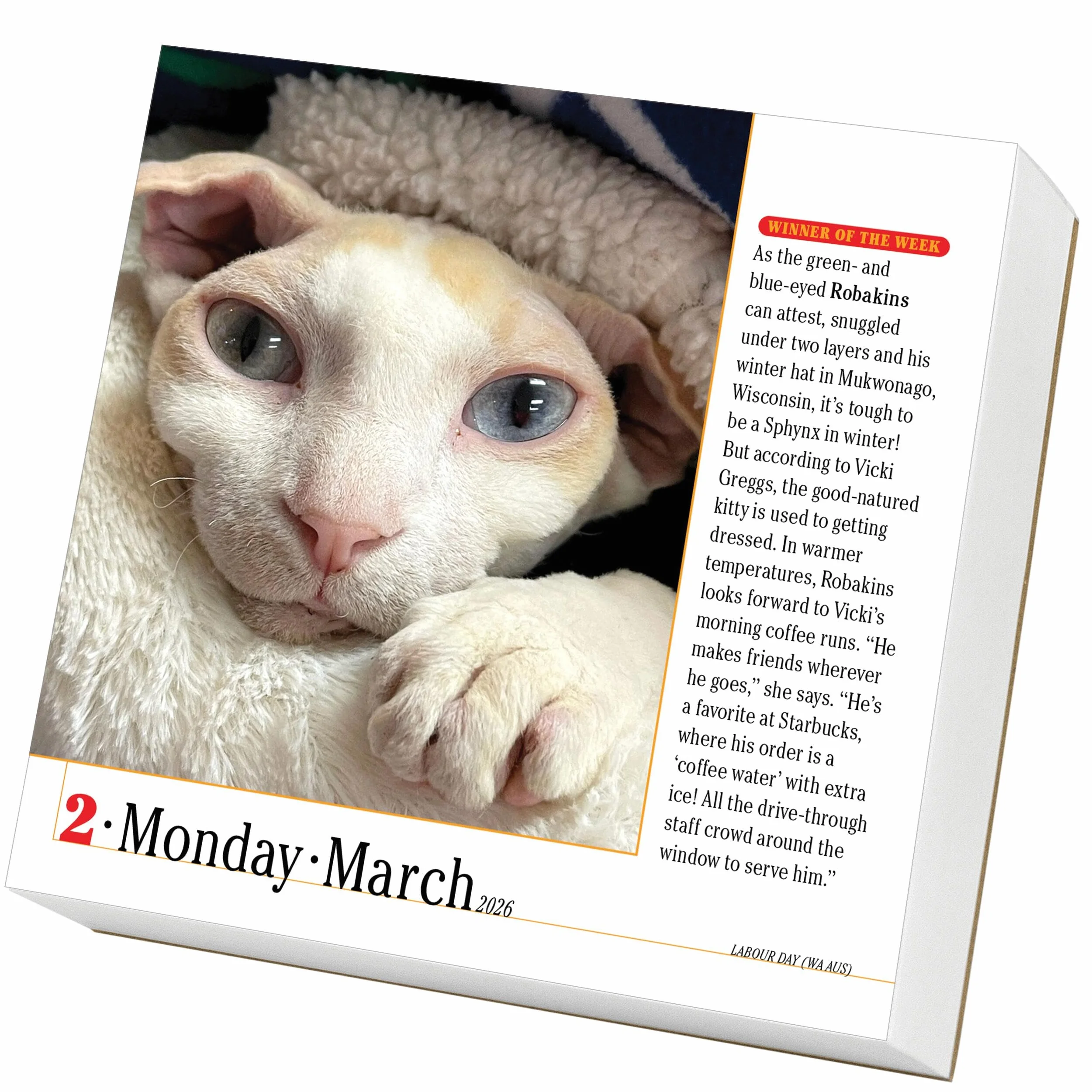 365 Cats Page-A-Day® Calendar 2026: The World's Favorite Cat Calendar