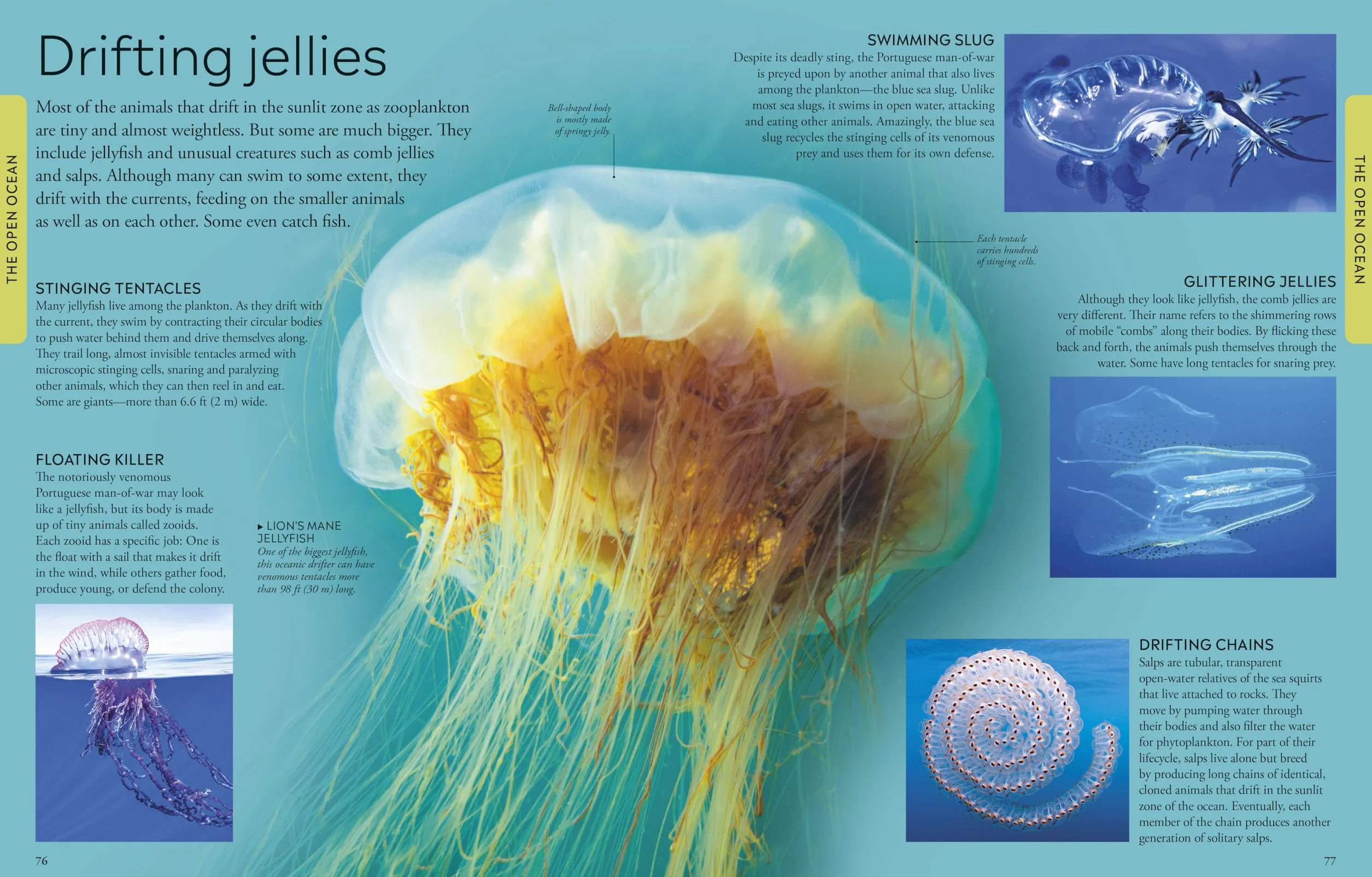 Ocean: A Visual Encyclopedia, 2nd Edition