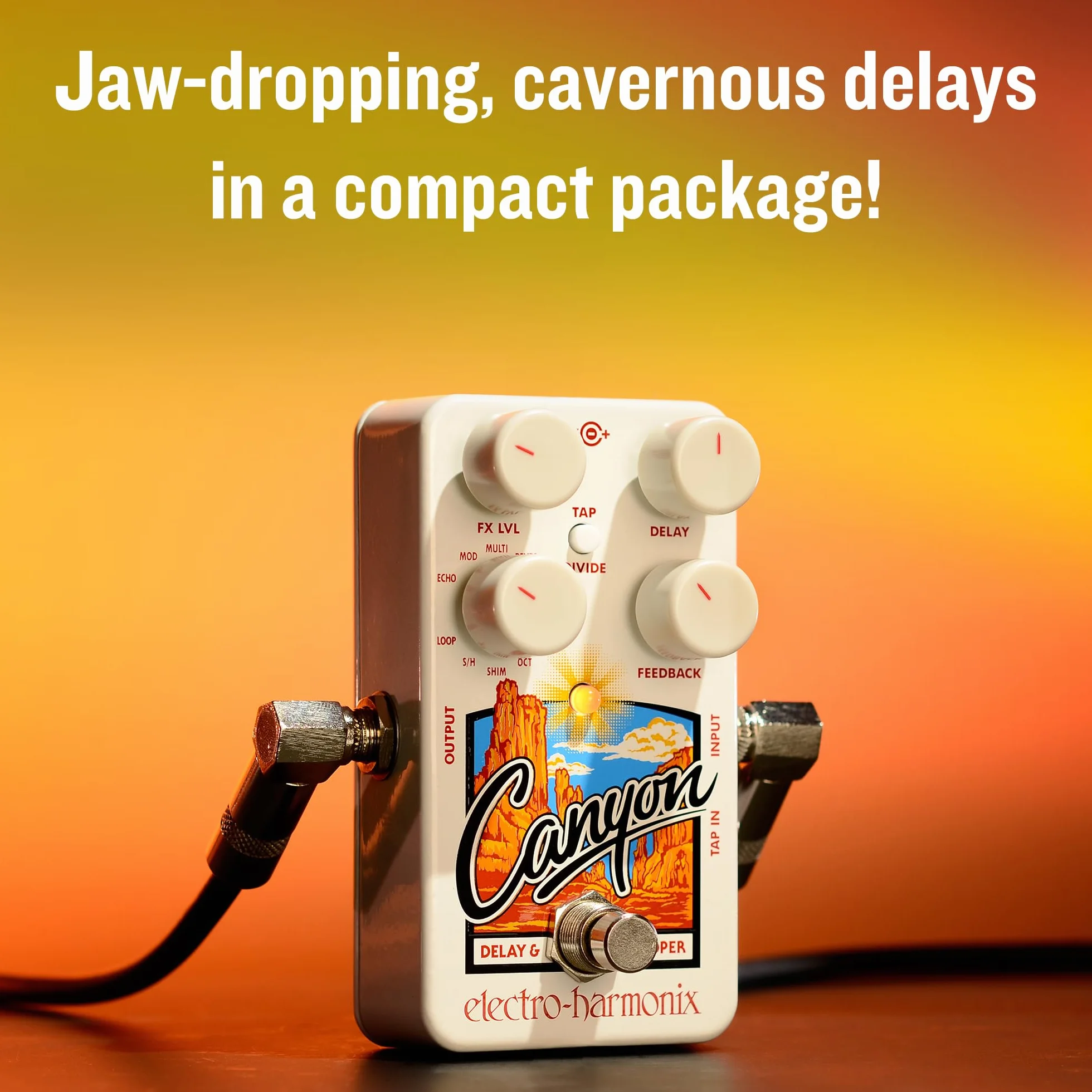 Electro Harmonix Canyon Delay & Looper - Efekt do gitar
