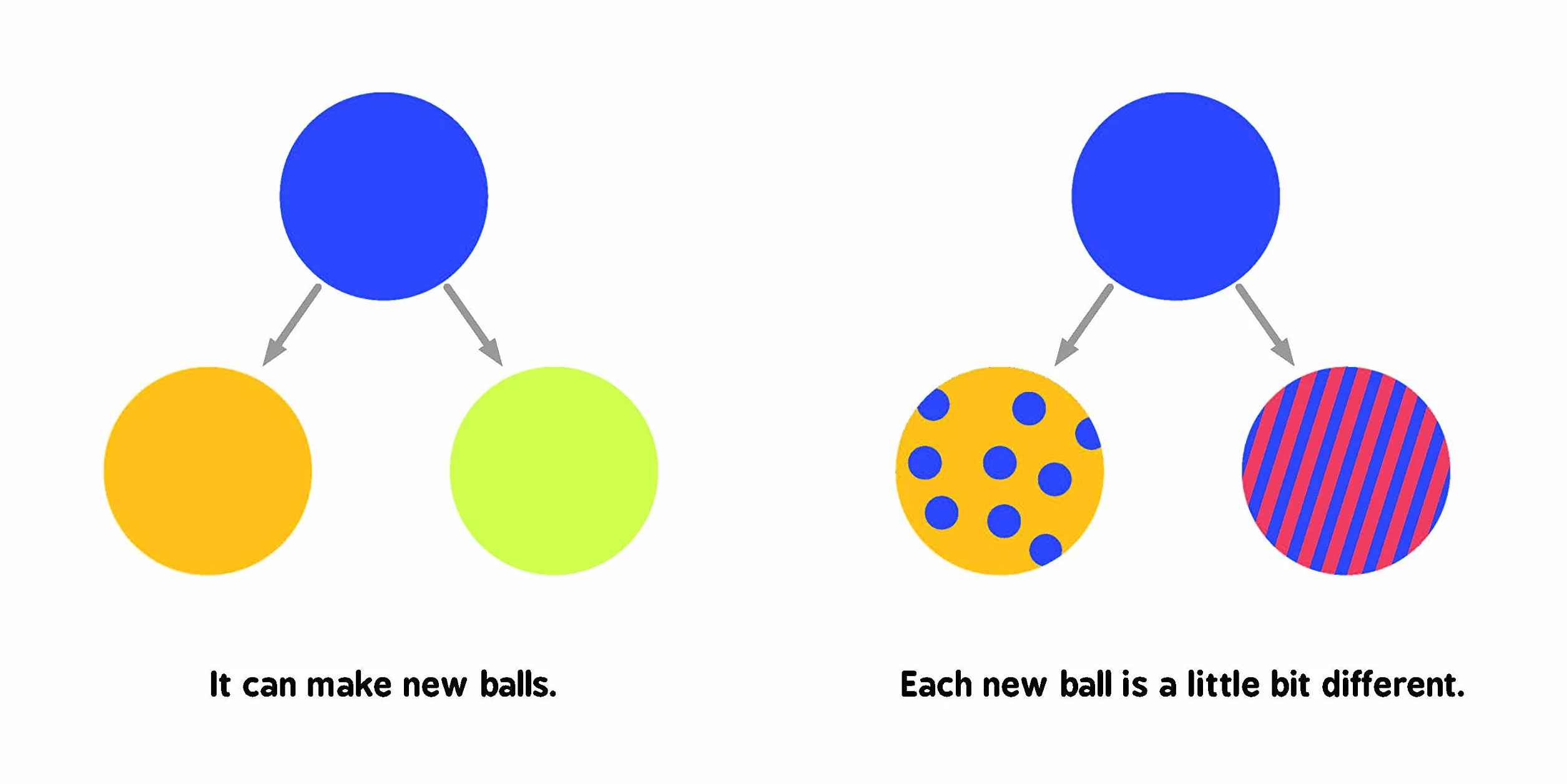 Evolution for Babies: 0 (Baby University)