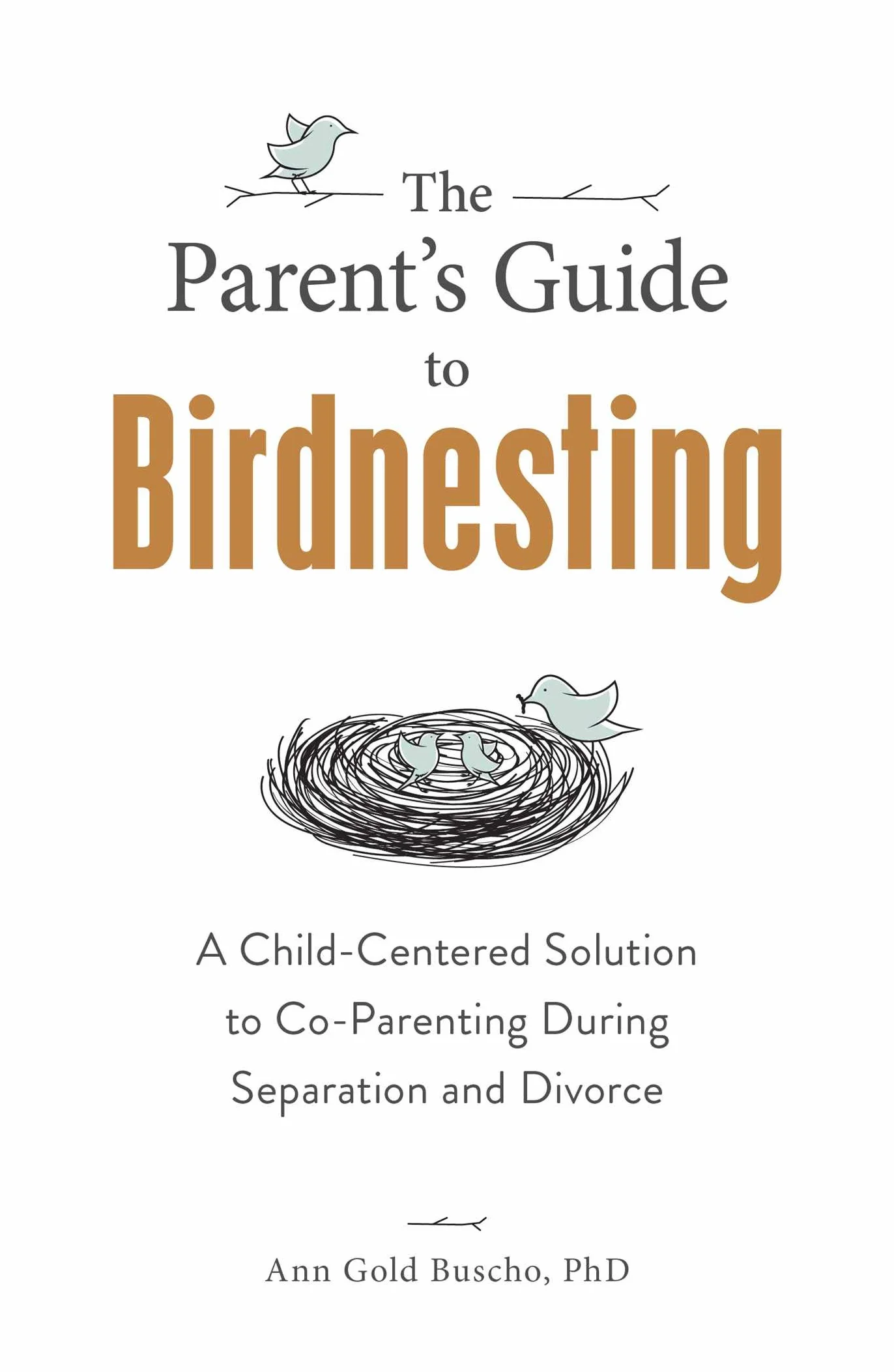 The Parent's Guide to Birdnesting: A Child-Centered Solution to Co-Parenting During Separation and Divorce