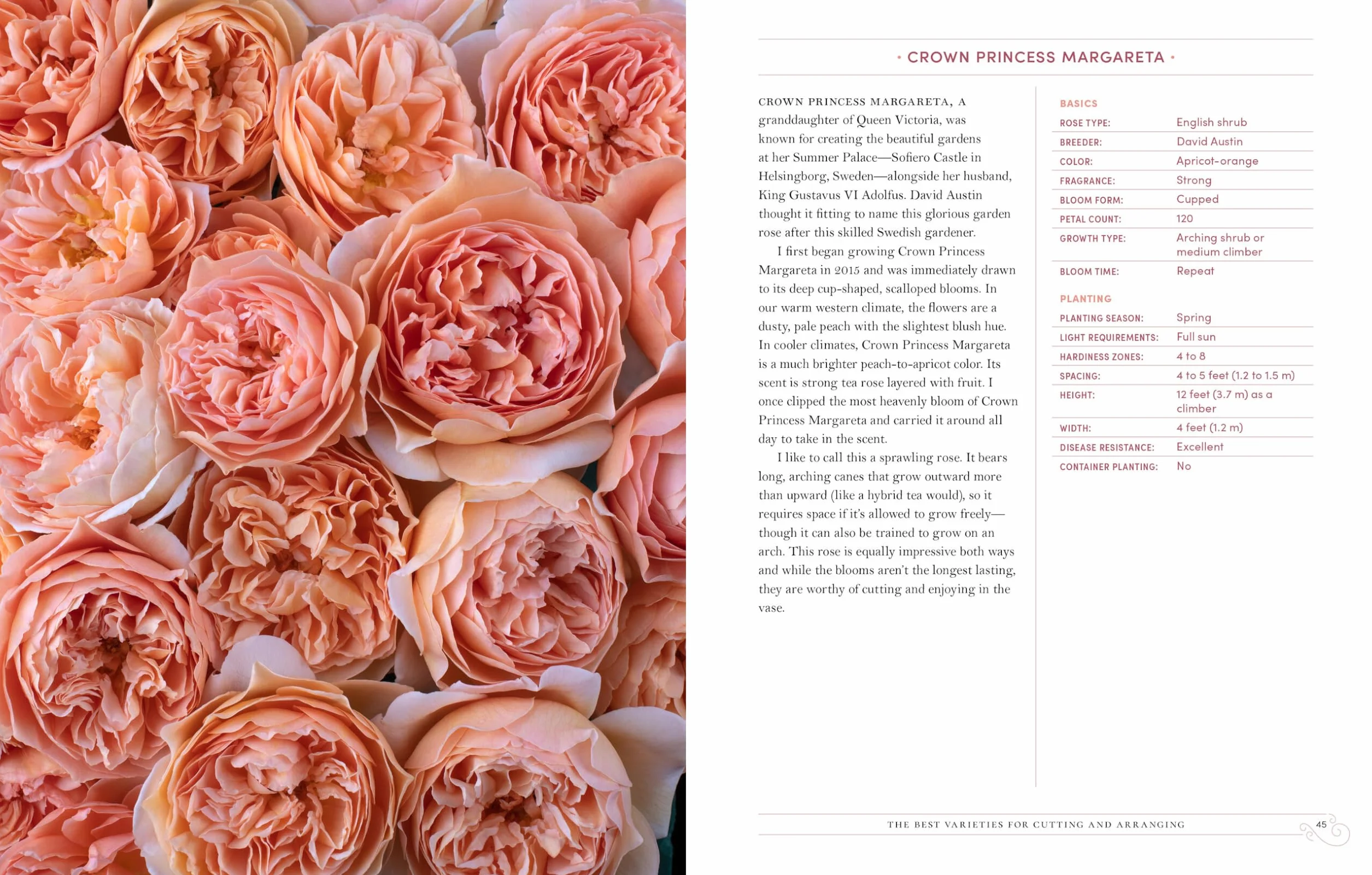 Grace Rose Farm: Garden Roses: The Complete Guide to Growing & Arranging Spectacular Blooms