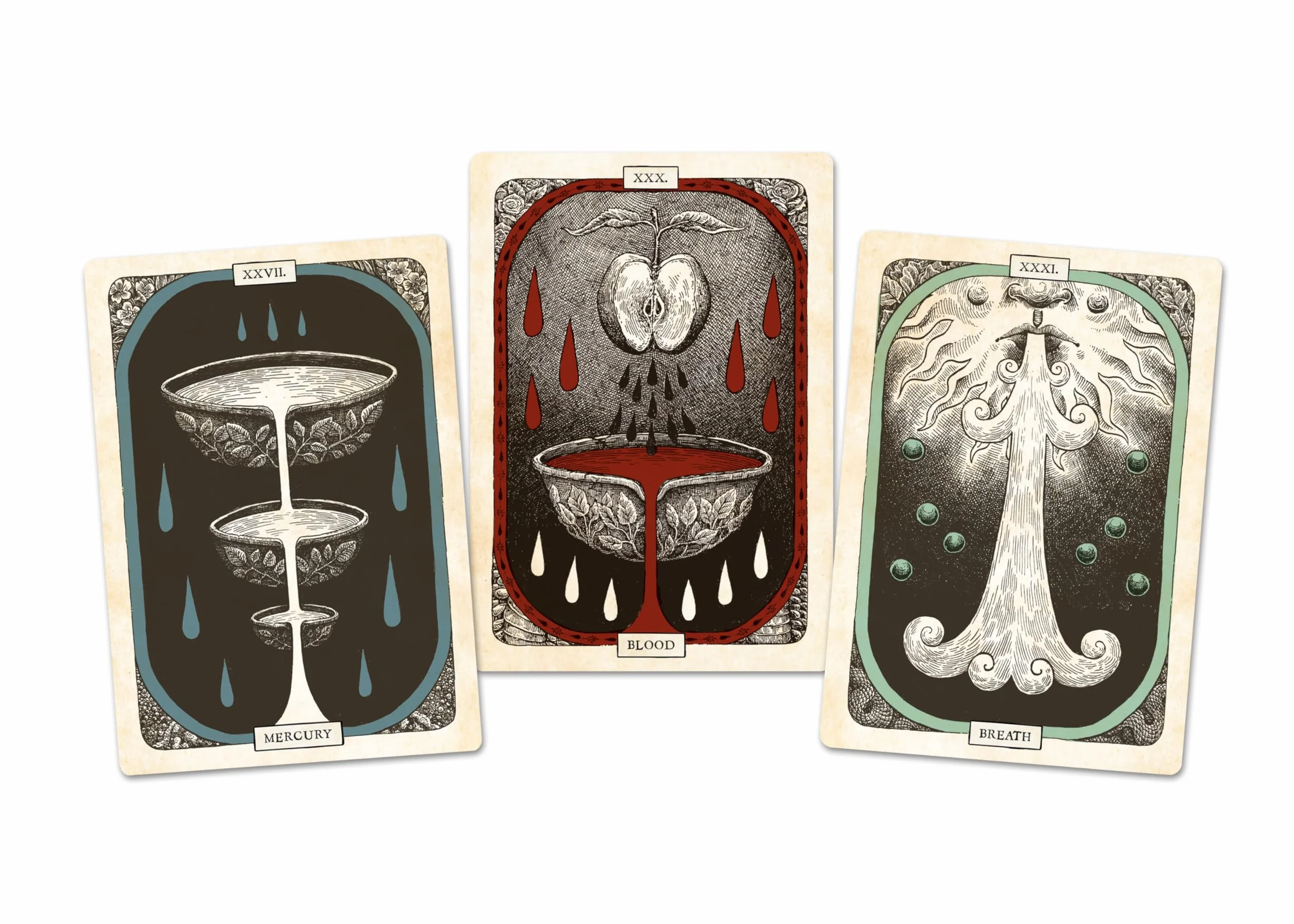 The Black Bird Oracle Deck: A 52-Card Deck and Guidebook