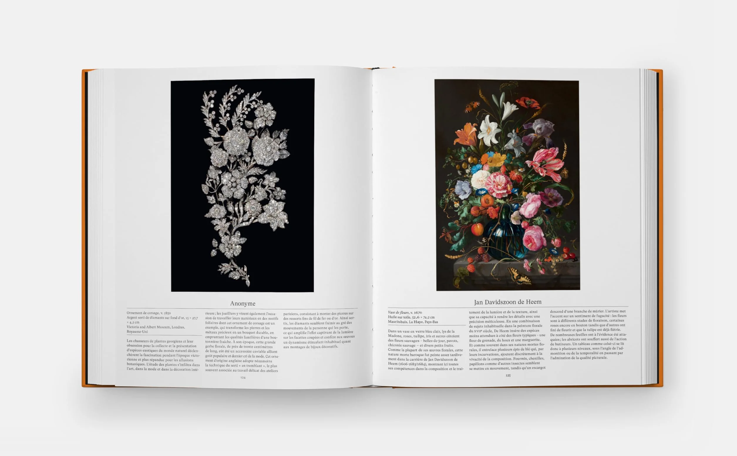 Fleurs: Explorer le monde floral