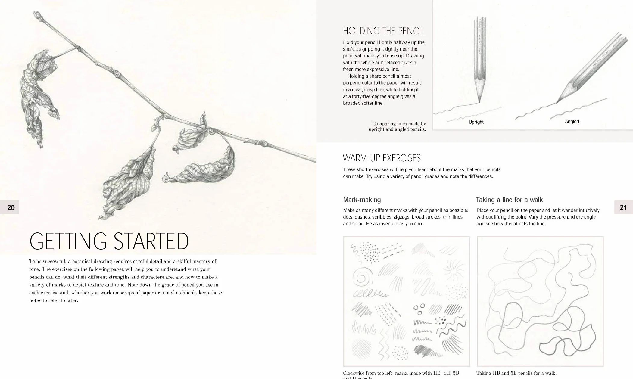 Botanical Drawing: A Step-By-Step Guide to Drawing Flowers, Vegetables, Fruit and Other Plant Life