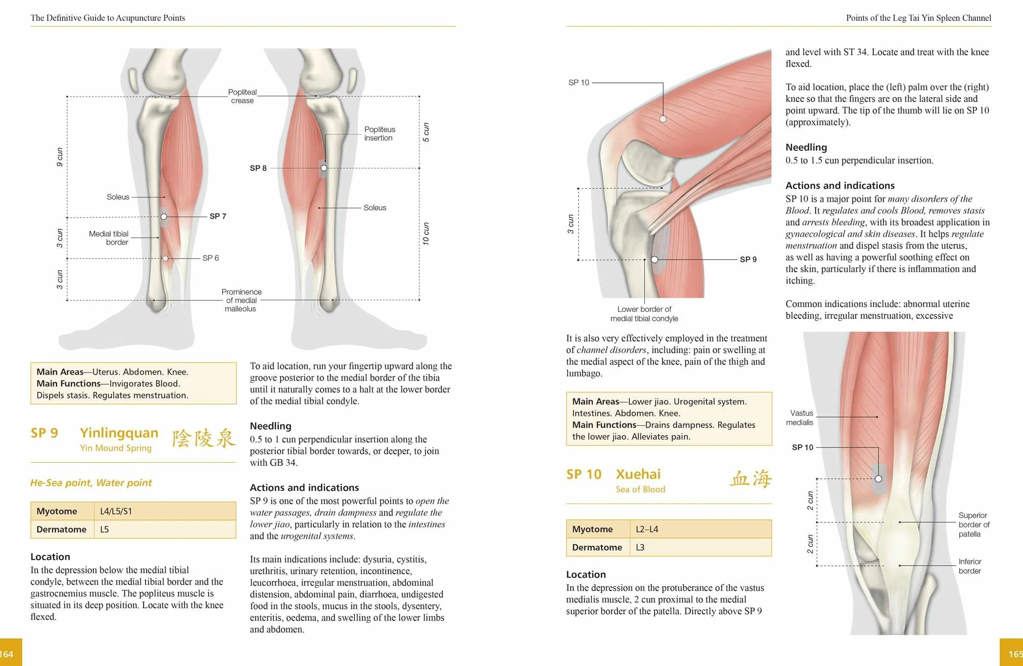 The Definitive Guide to Acupuncture Points: Theory and Practice
