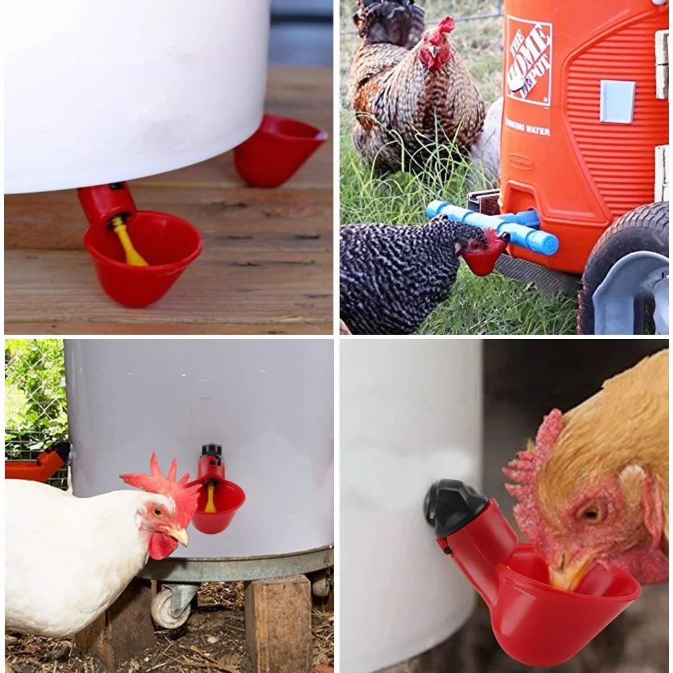 5 sztuk automatyczne plastikowe kubki do picia kurczaka poidełko do drobiu dozownik do wody kubki miski poidło do wody narzędzie dla ptaka przepiórka gołąb kurczak kura (20mm rura)
