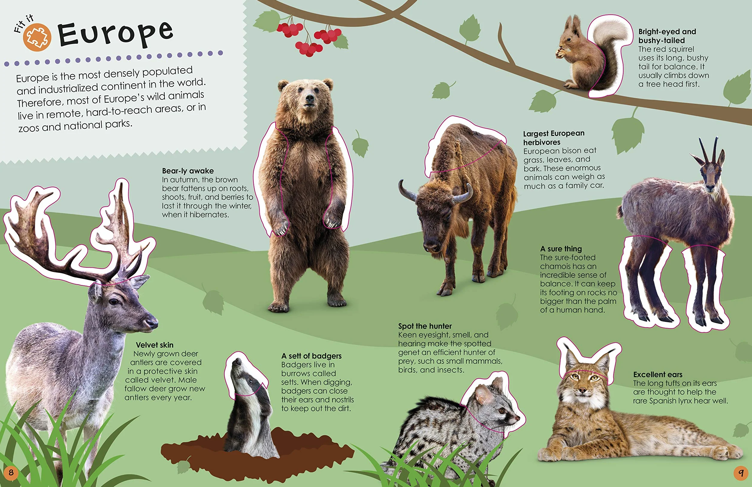 Ultimate Sticker Book Animals: More than 250 Reusable Stickers