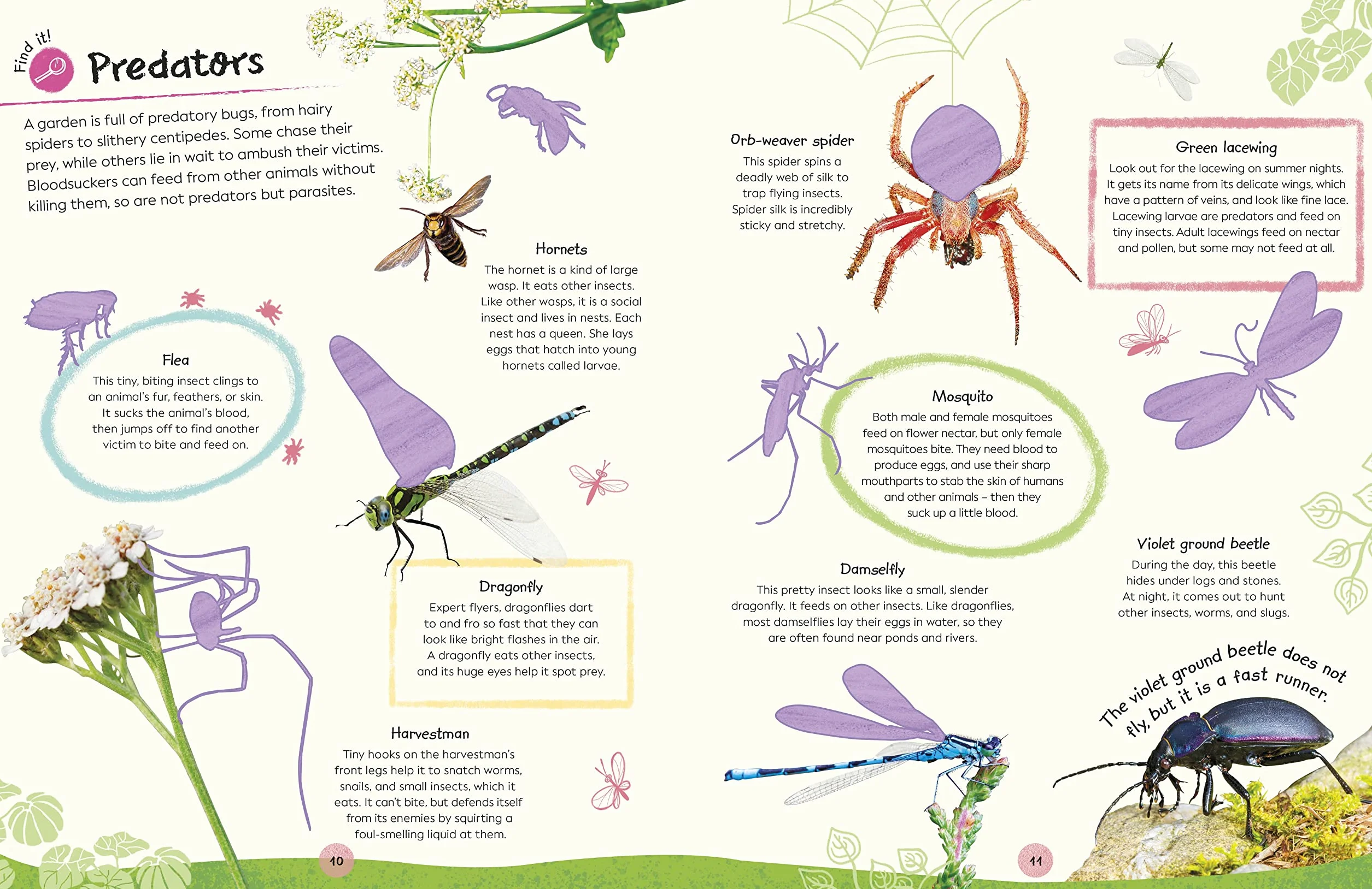 RHS Ultimate Sticker Book Garden Bugs: New Edition with More than 250 Stickers