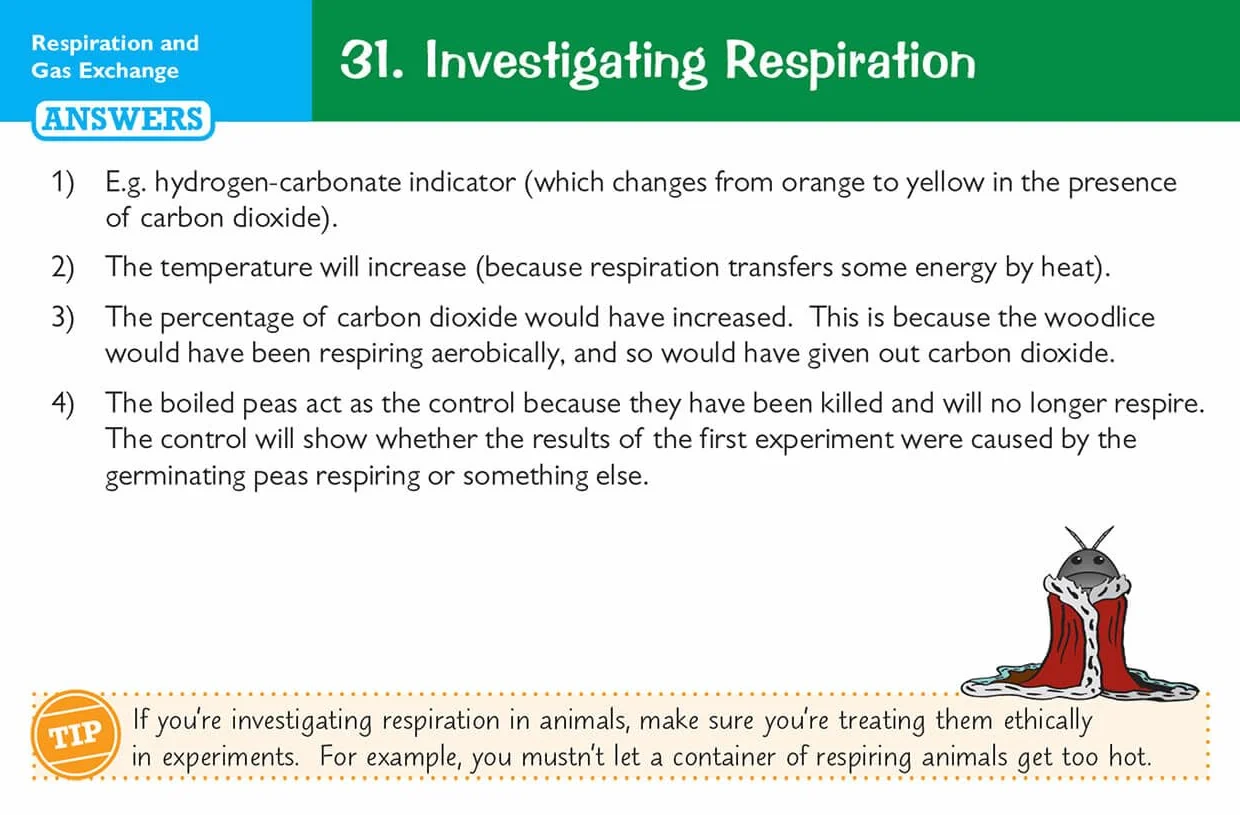 Edexcel International GCSE Biology: Revision Question Cards