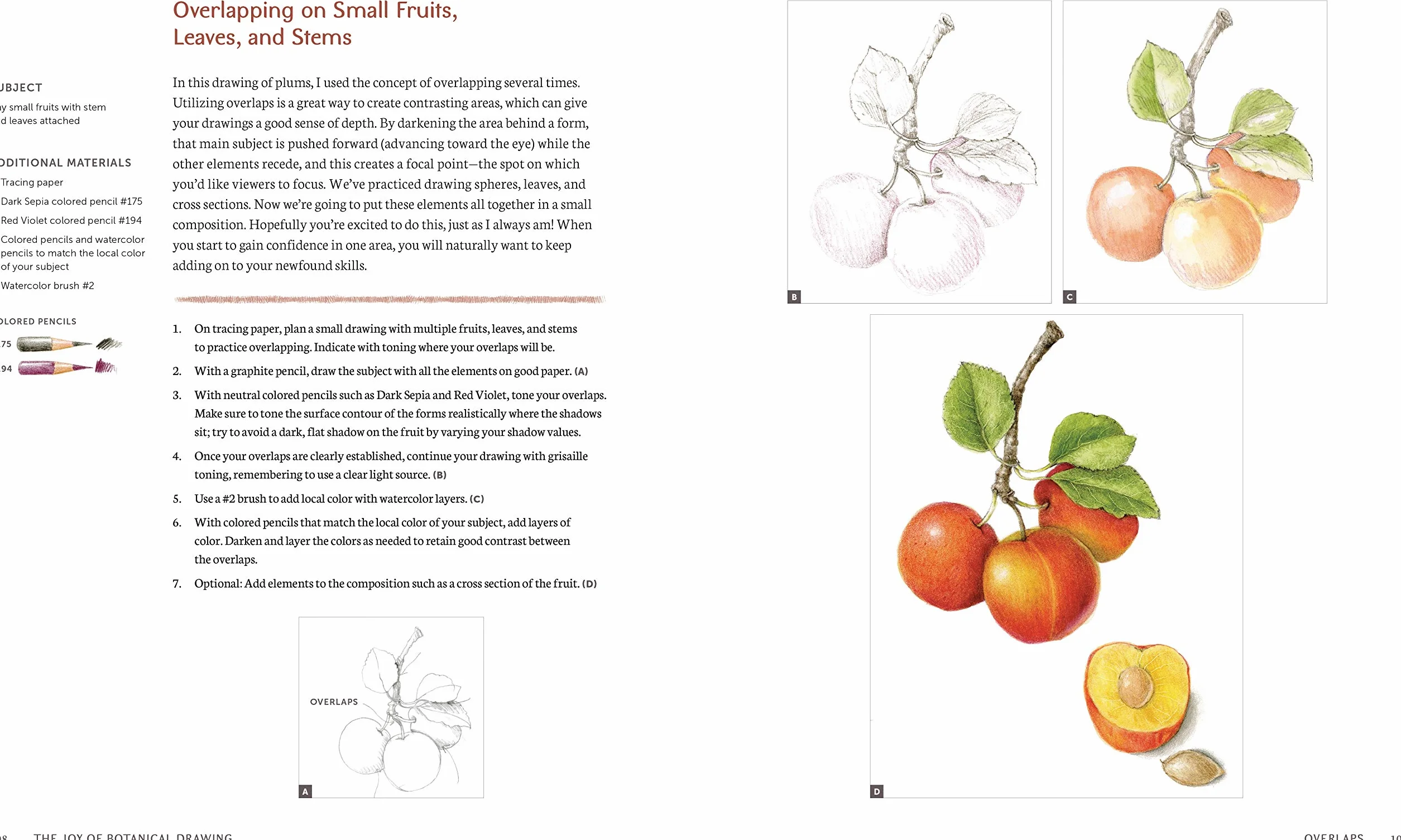 The Joy of Botanical Drawing: A Step-by-Step Guide to Drawing and Painting Flowers, Leaves, Fruit, and More