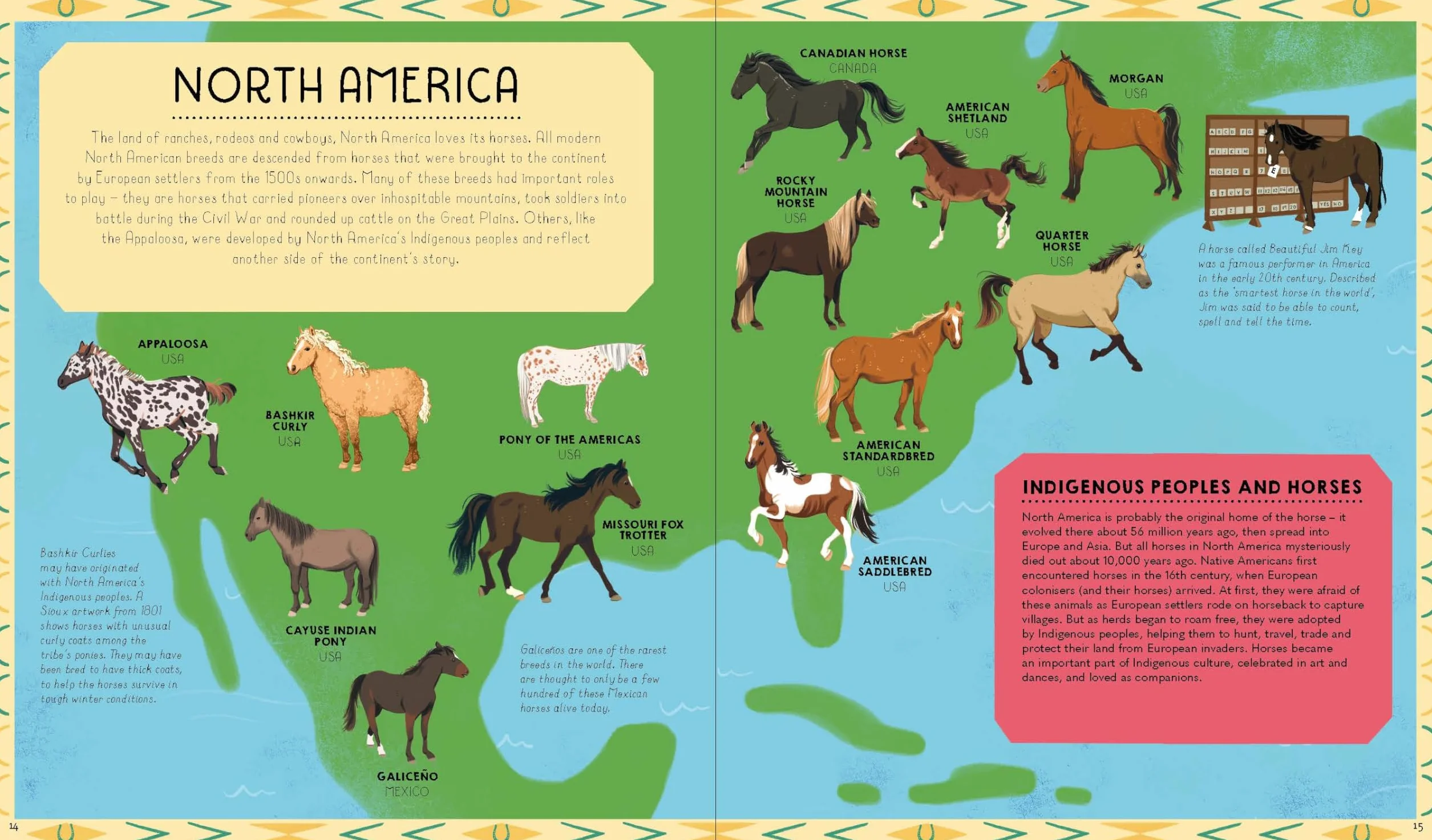 Atlas of Horses and Ponies 1ed -anglais-: 100 Amazing Breeds From Around the World | Fun Features & Illustrations | Learn About their Super Senses | Fascinating Facts